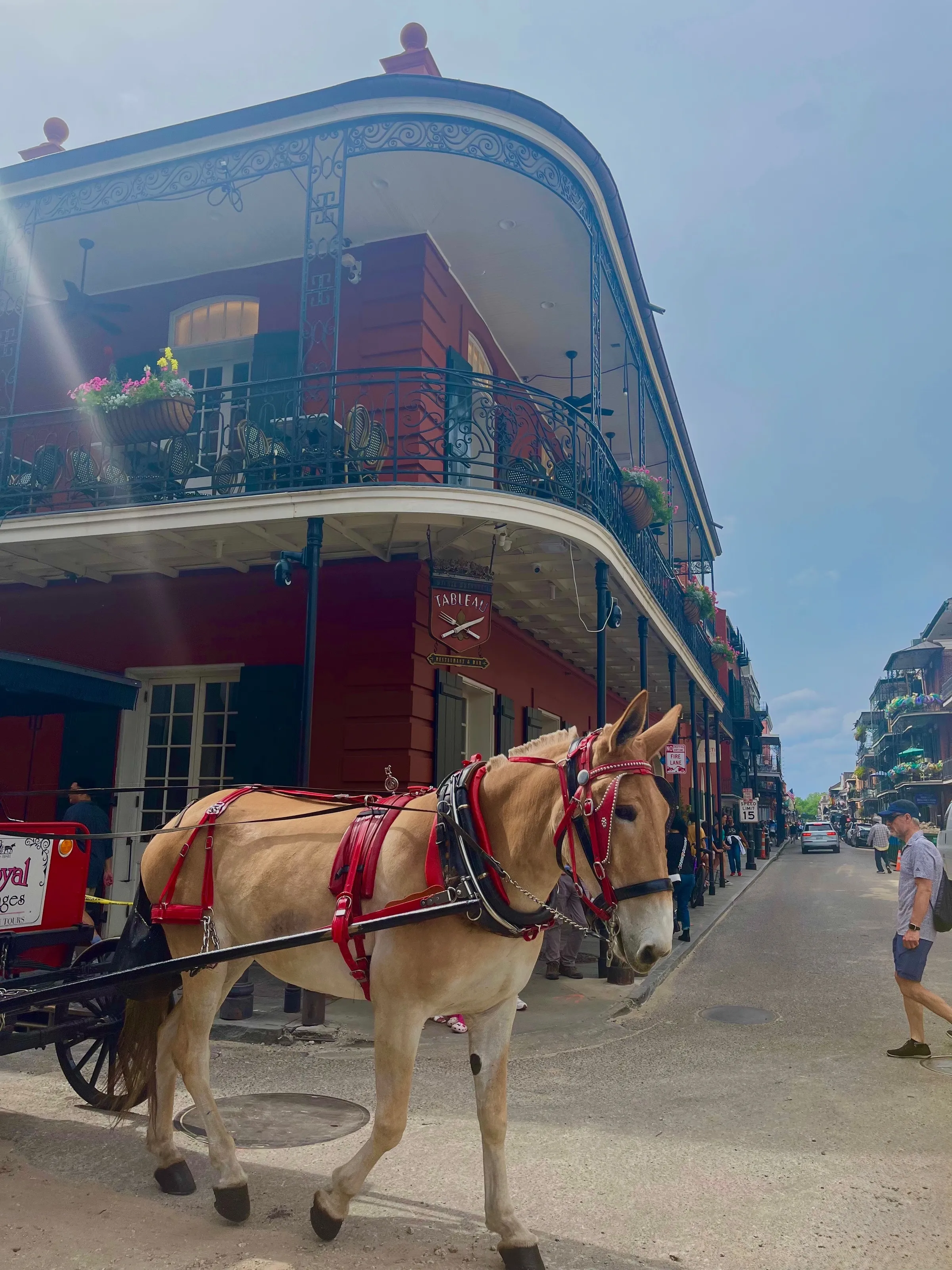 Bourbon St, New Orleans