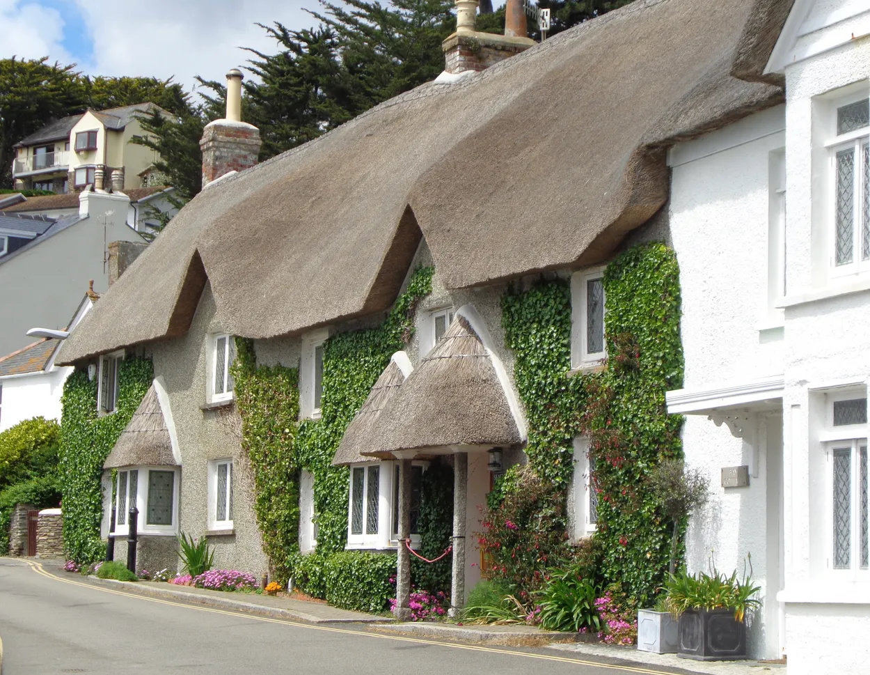 Entry 26798568
