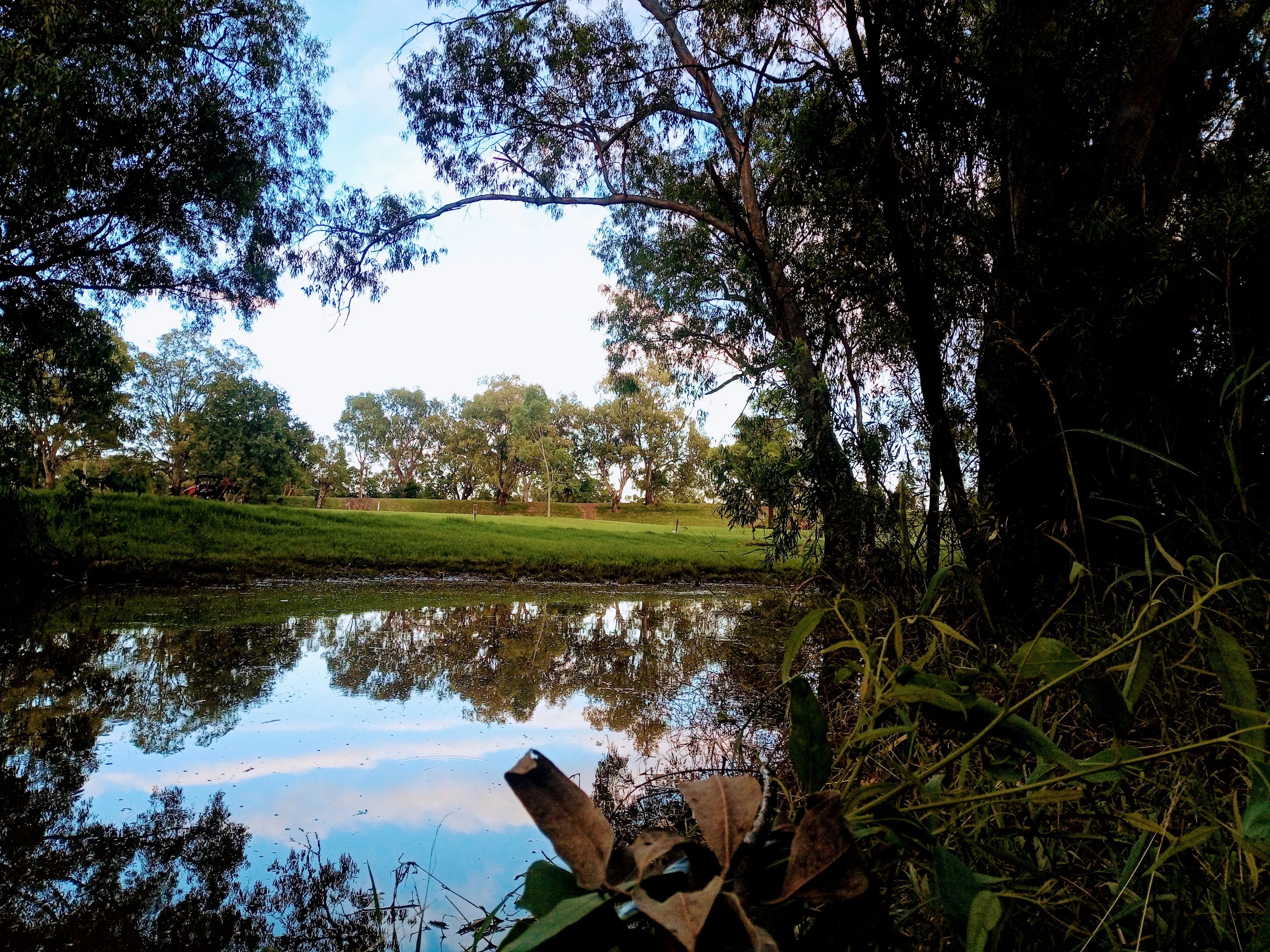 Mehi peaceful