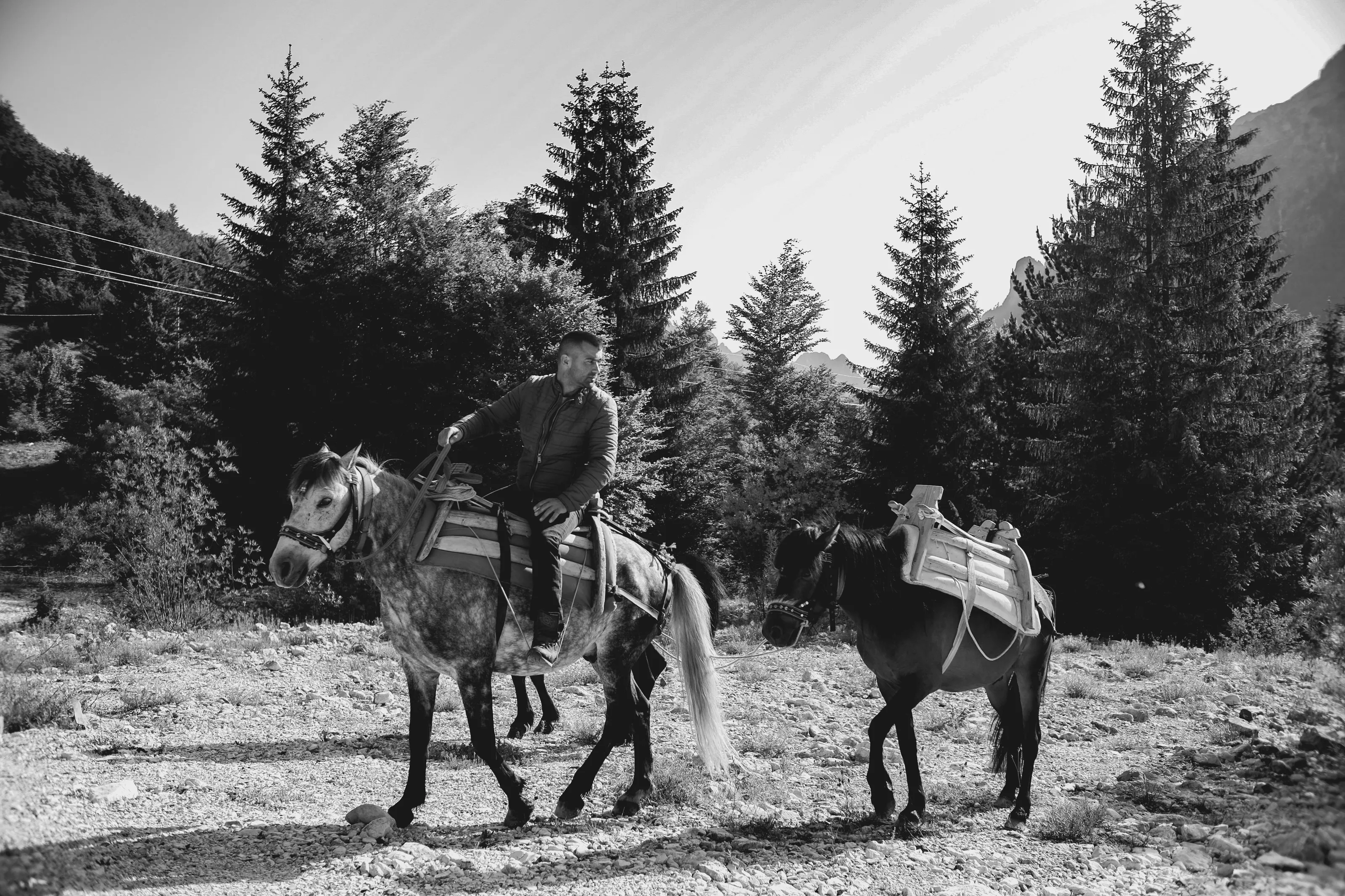 Shadows of the balkans