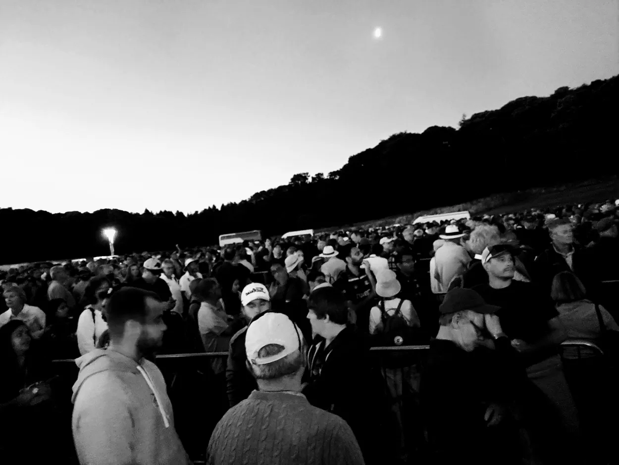 Entry 28887495