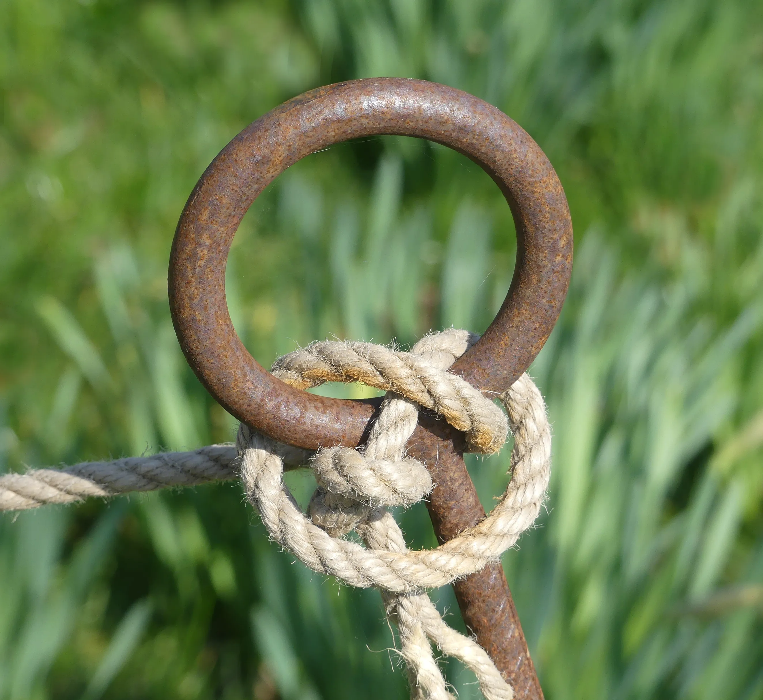Linked in
