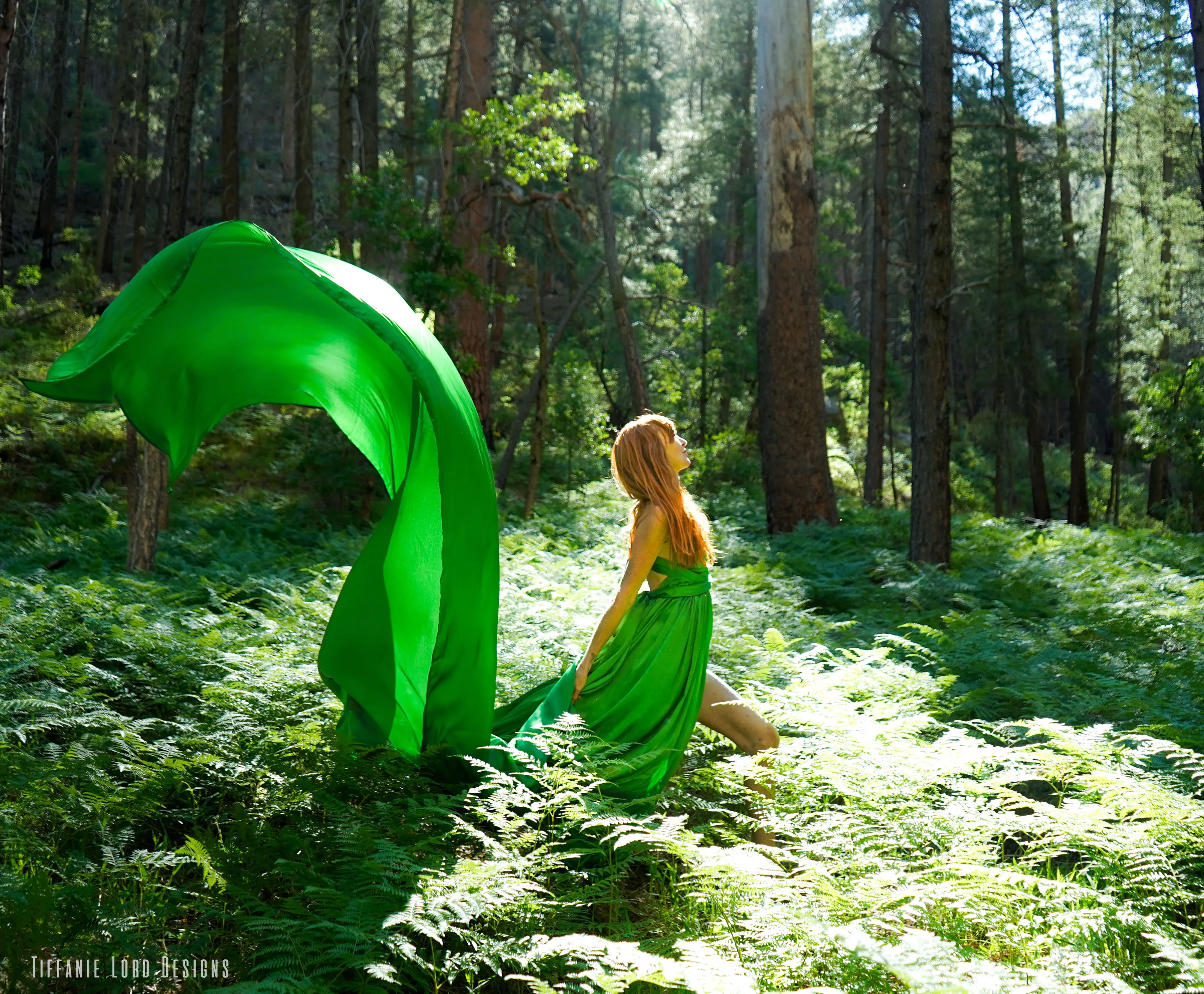 Enraptured Fern Forest