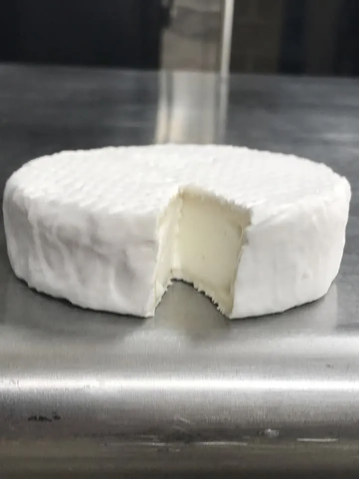 Cheese