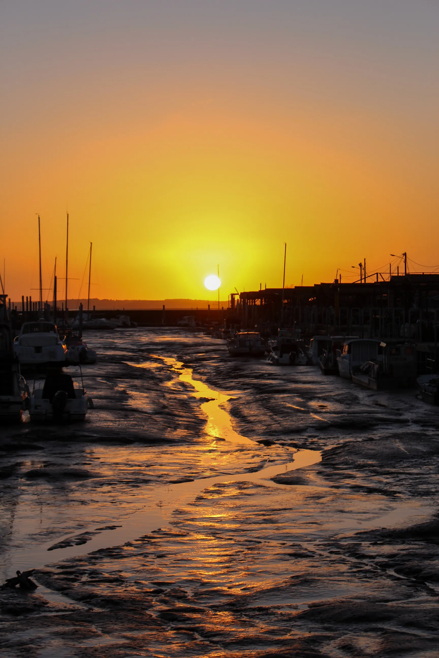 Sunset over the docks