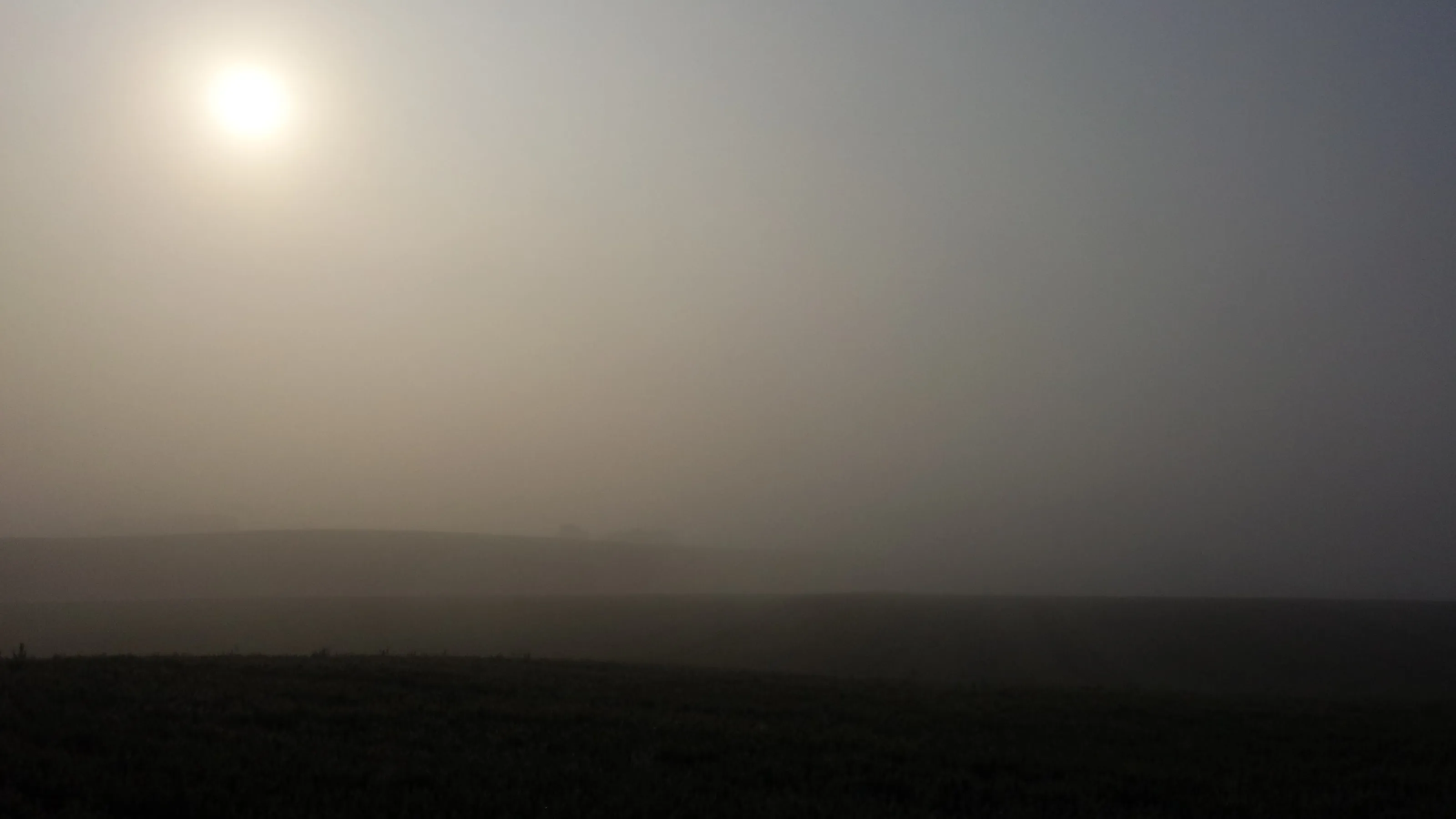Misty dayz
