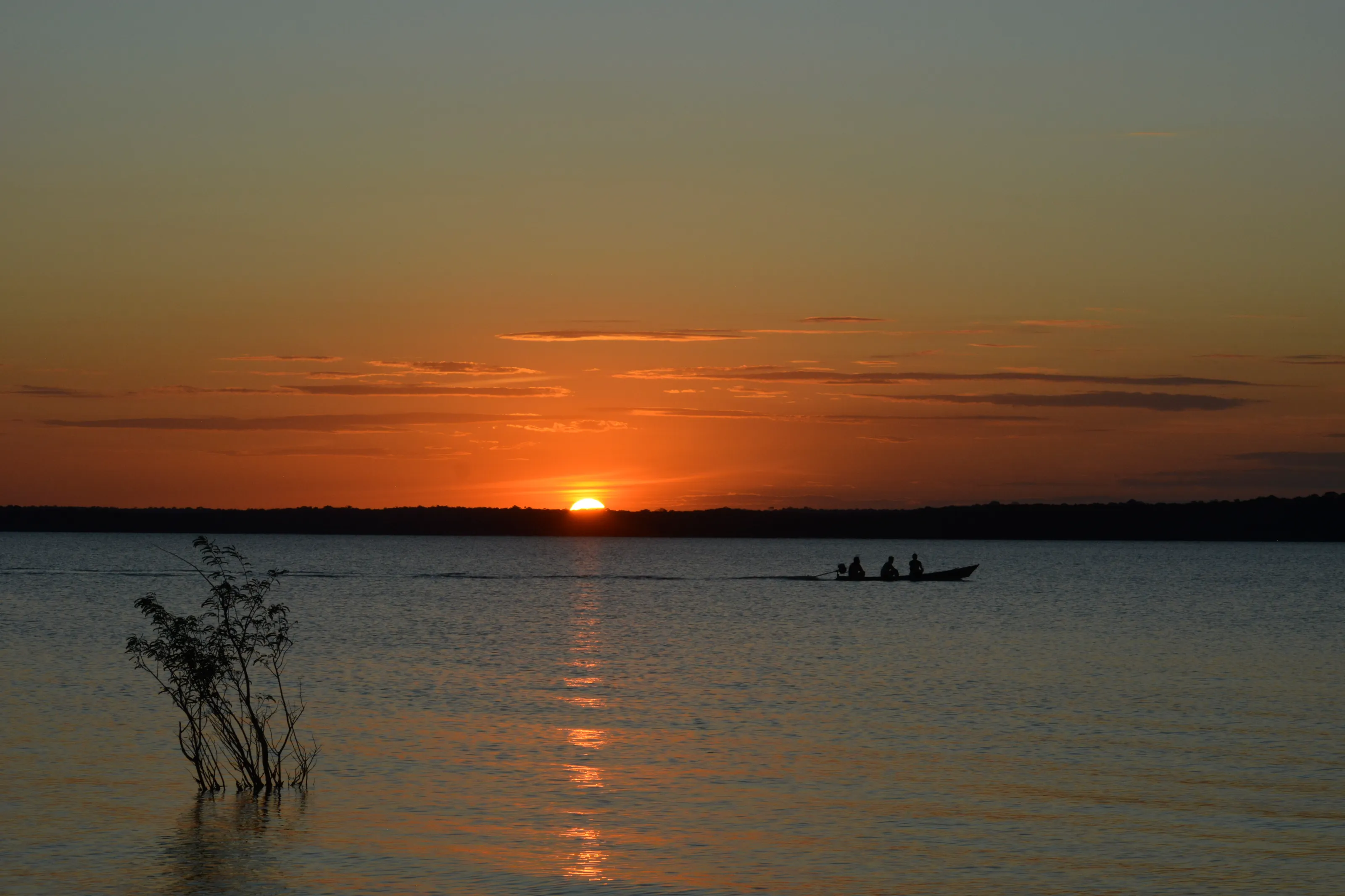 Amazonian Sunset
