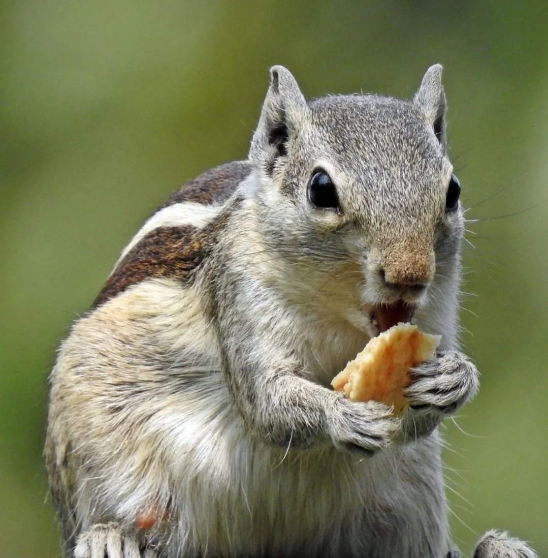 Breakfast time