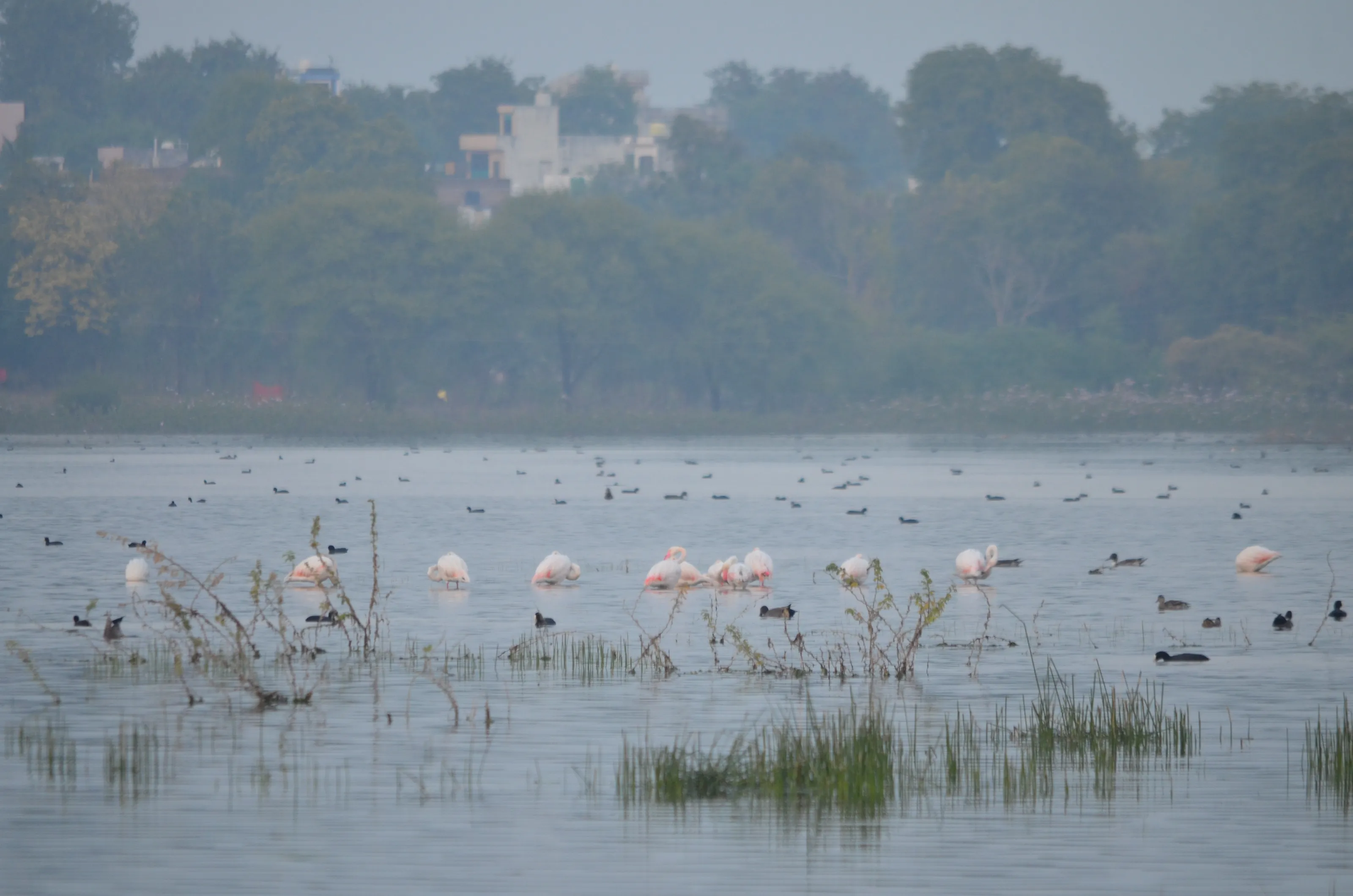 The Menar Lake