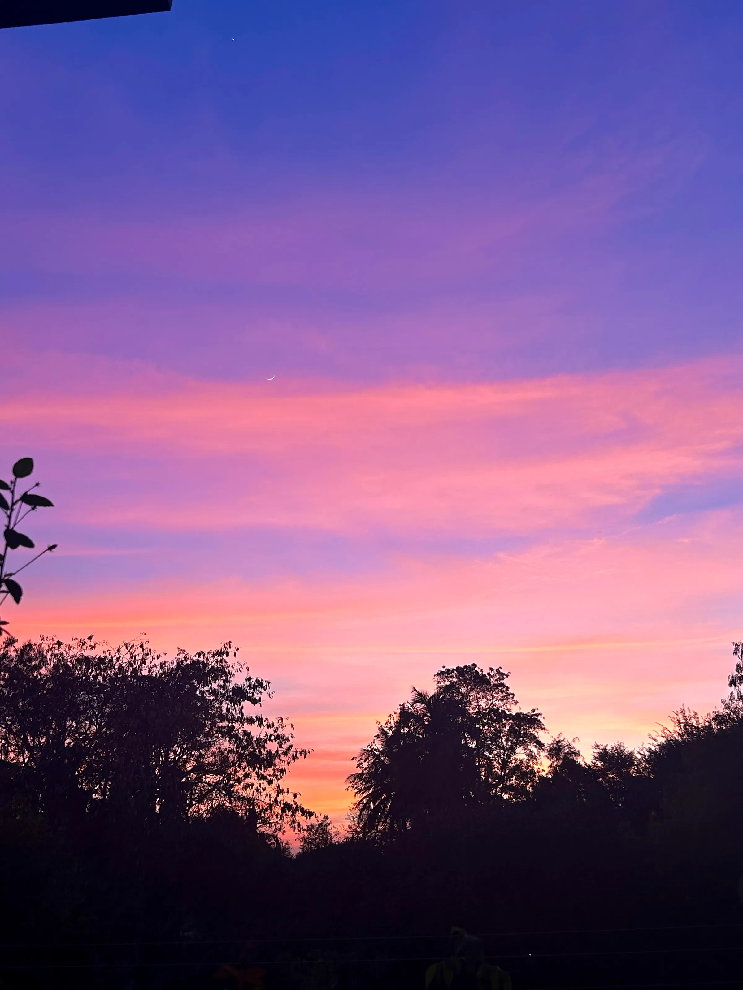 Skies…