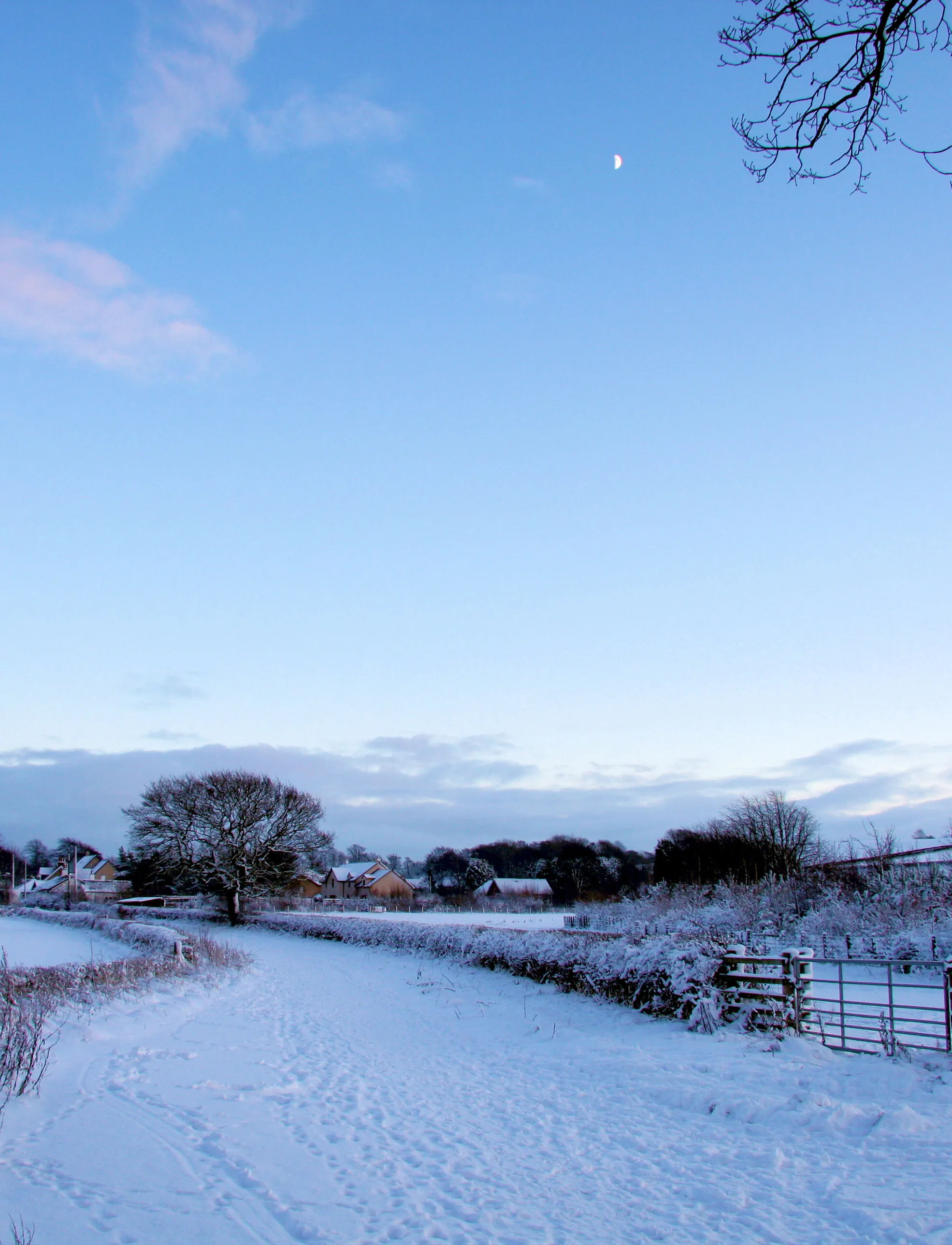 Winters Grip
