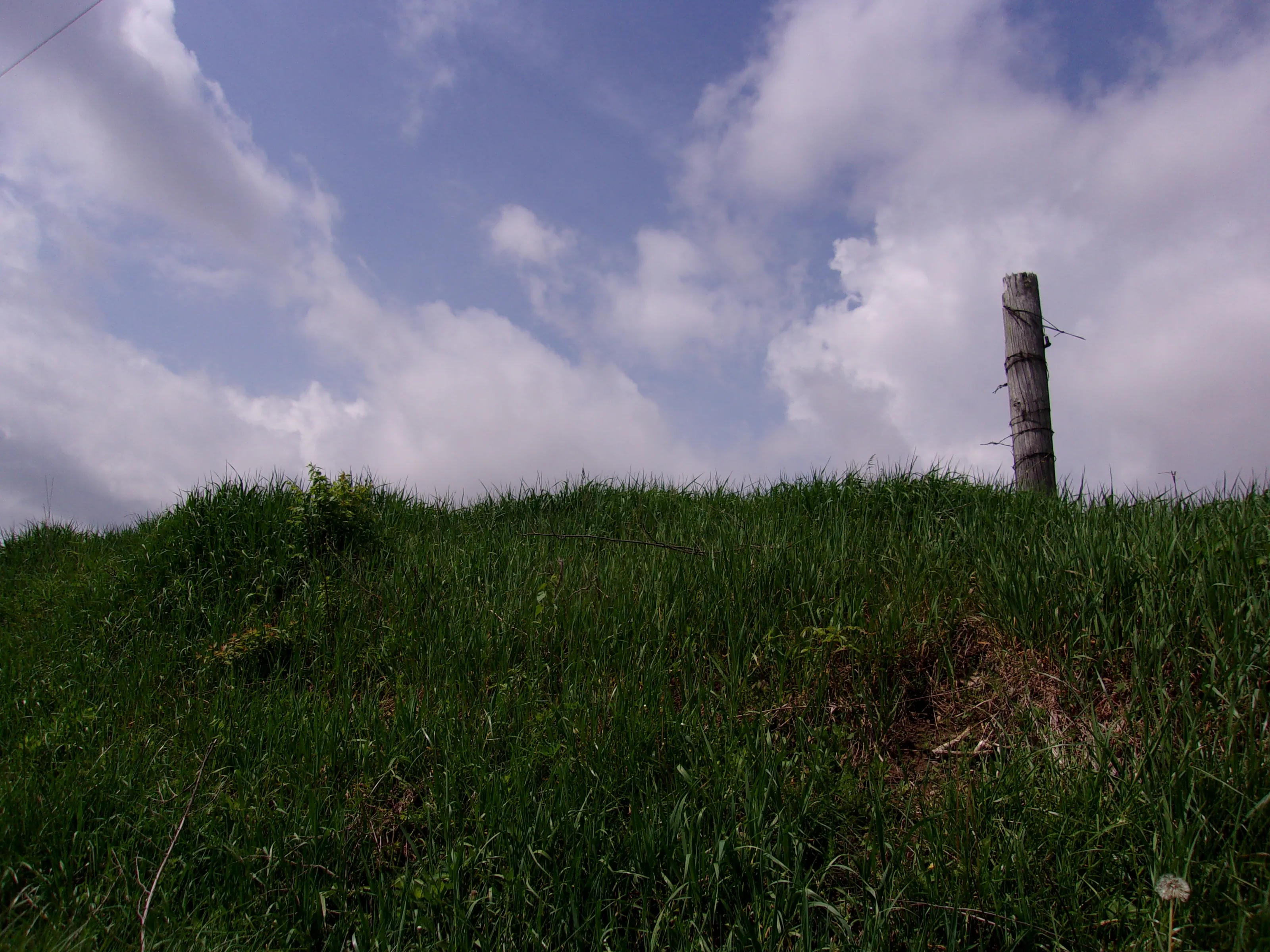 Old wooden fence post