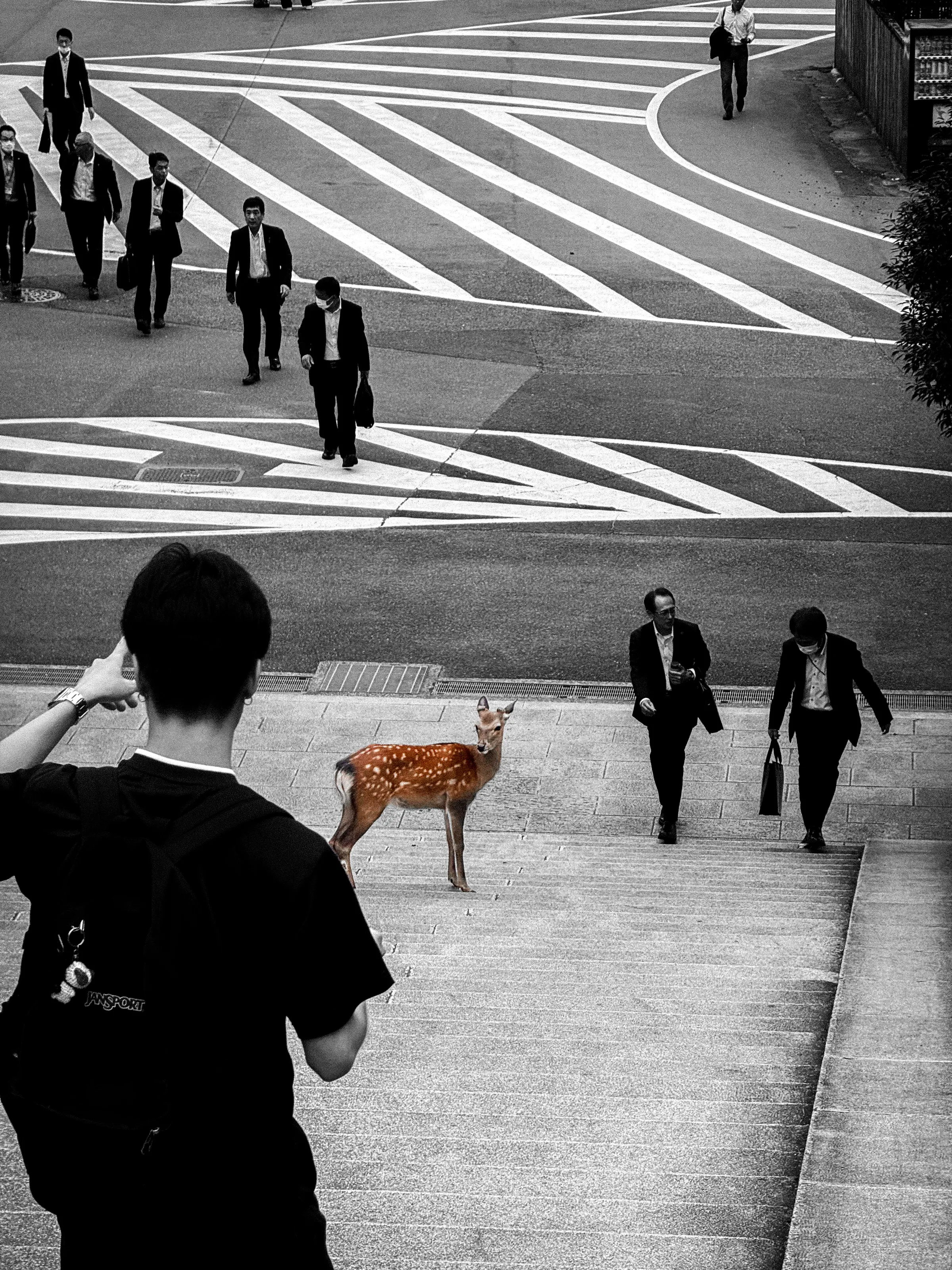 Deer city