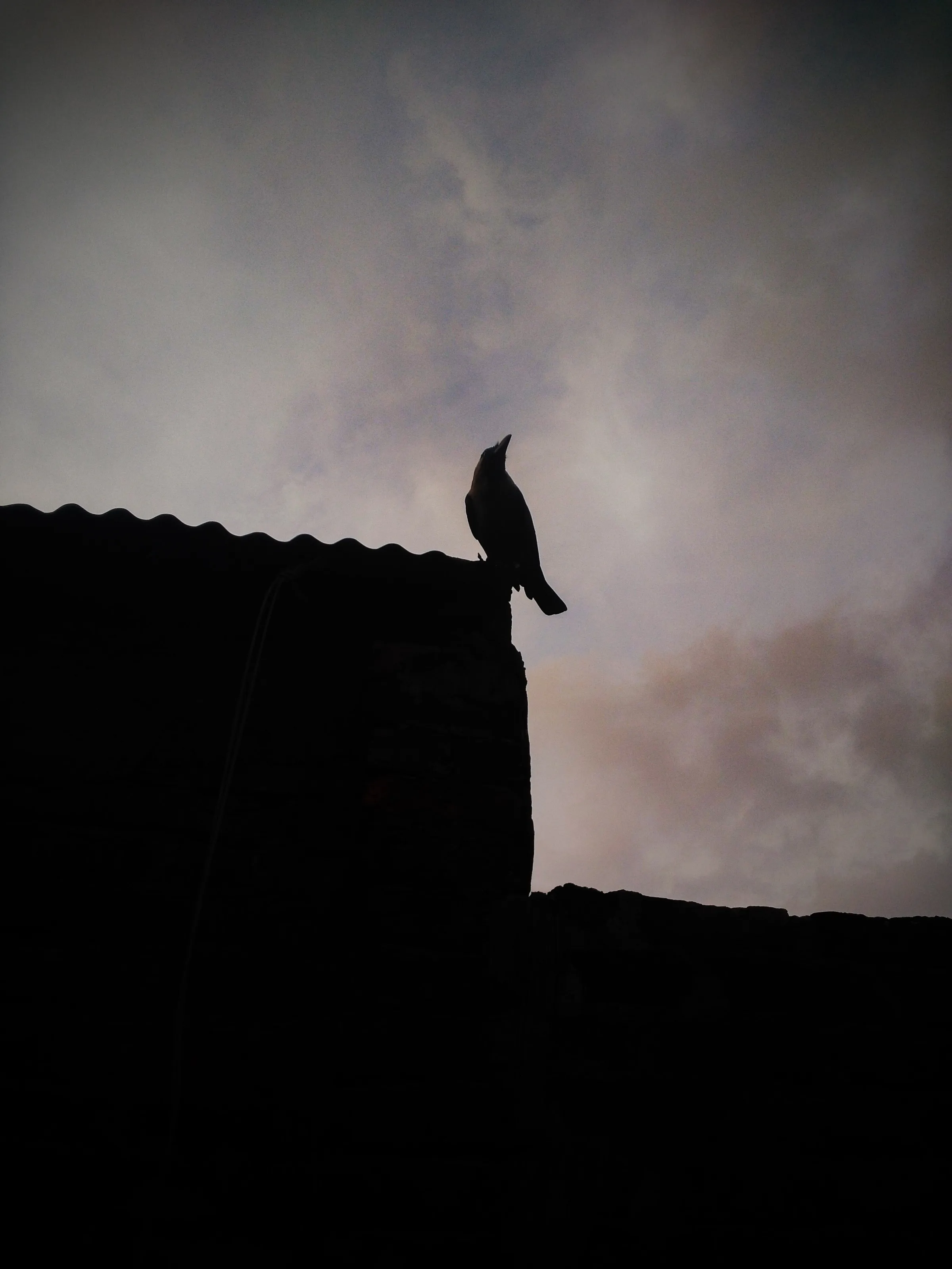 Alone