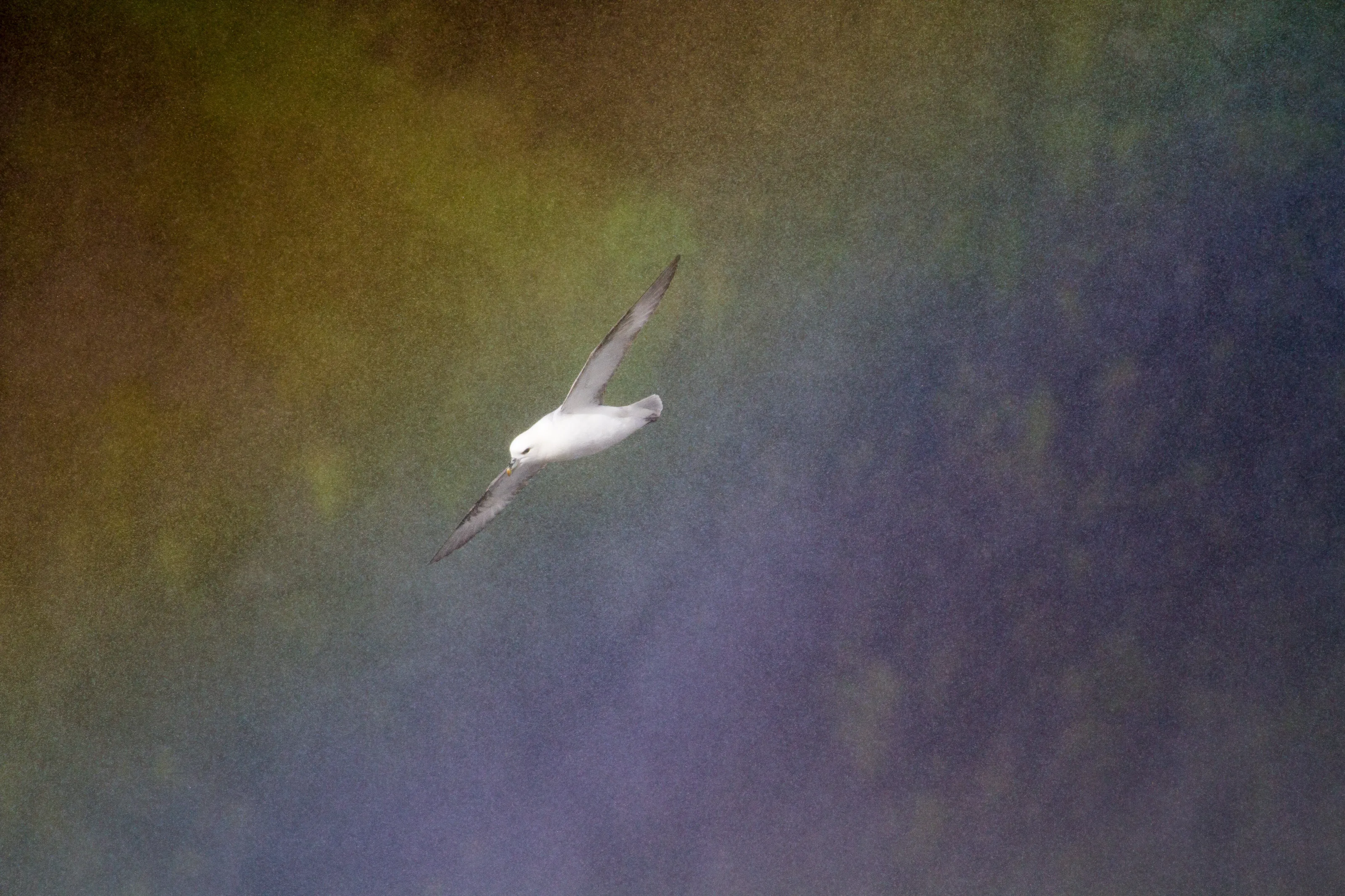 Flight through the rainbow