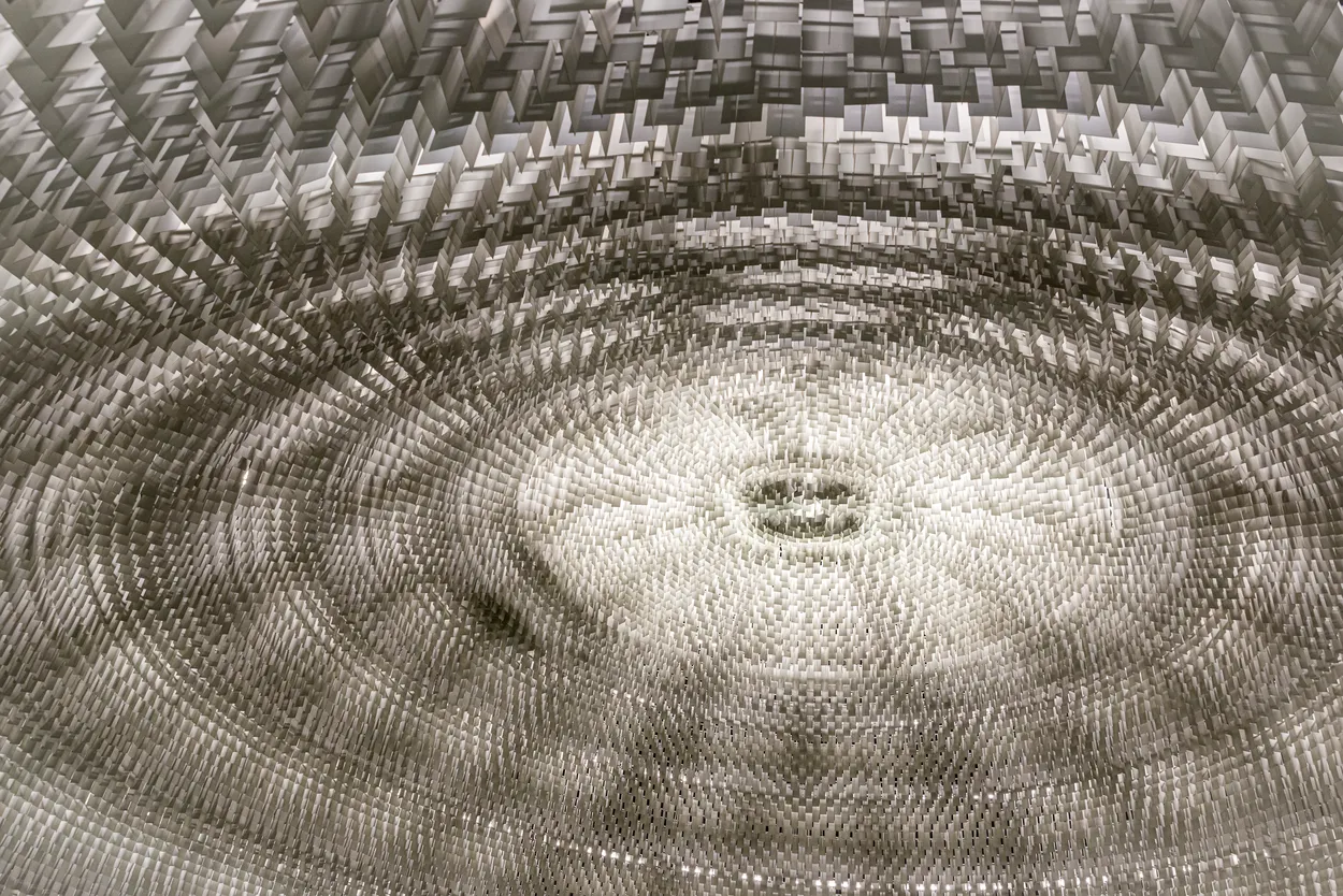 Entry 27003731