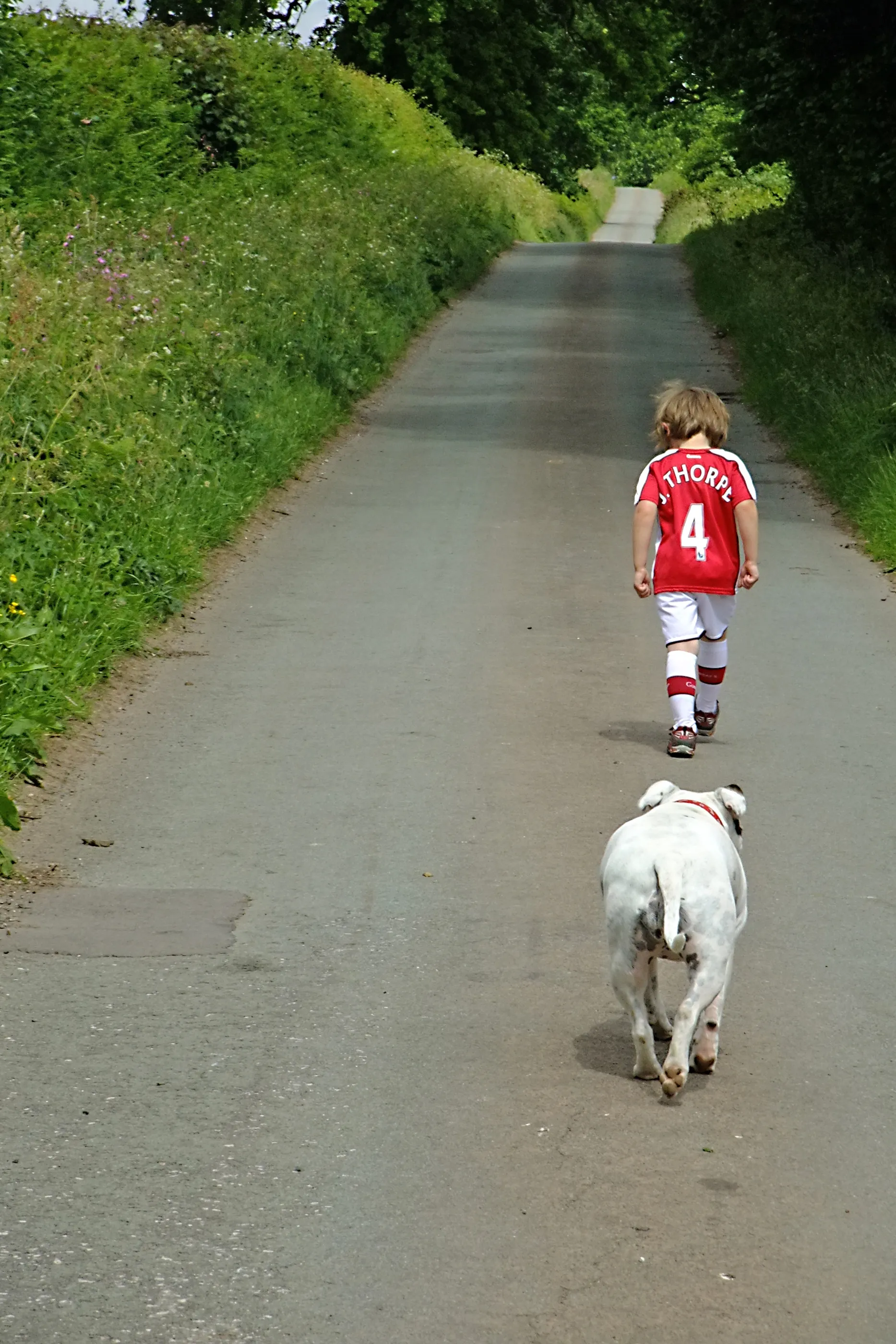 Boy and his staffie dog