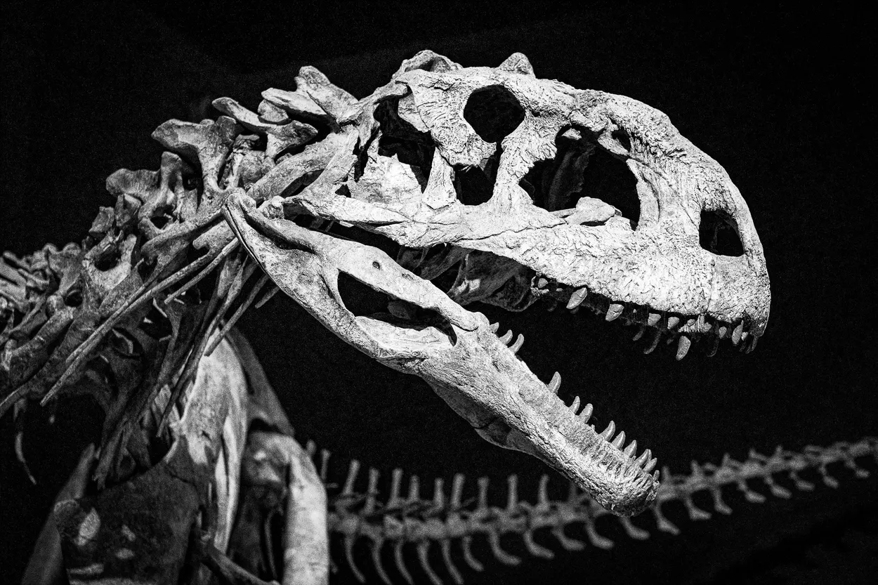 The Land Before Time