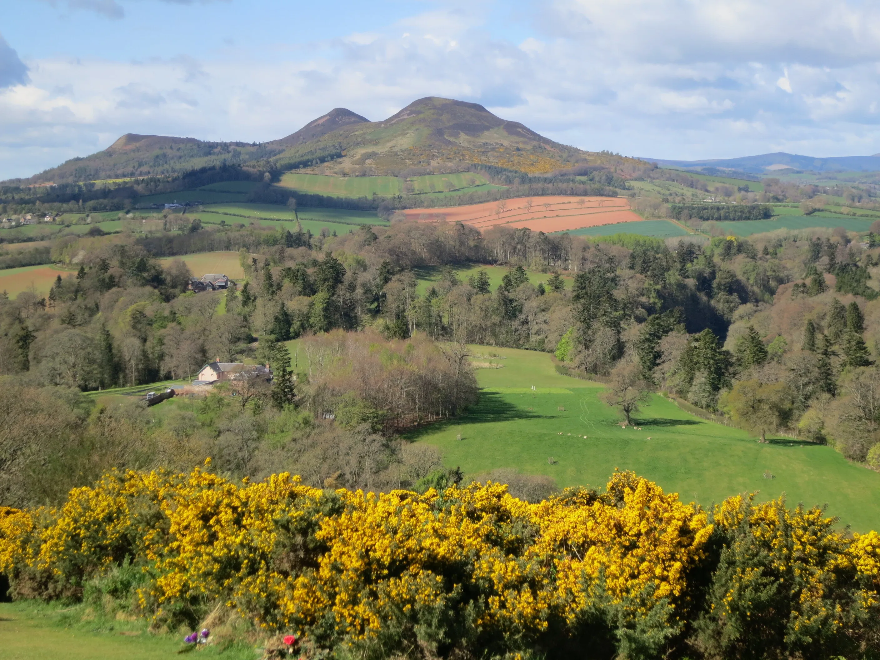 Scot's View