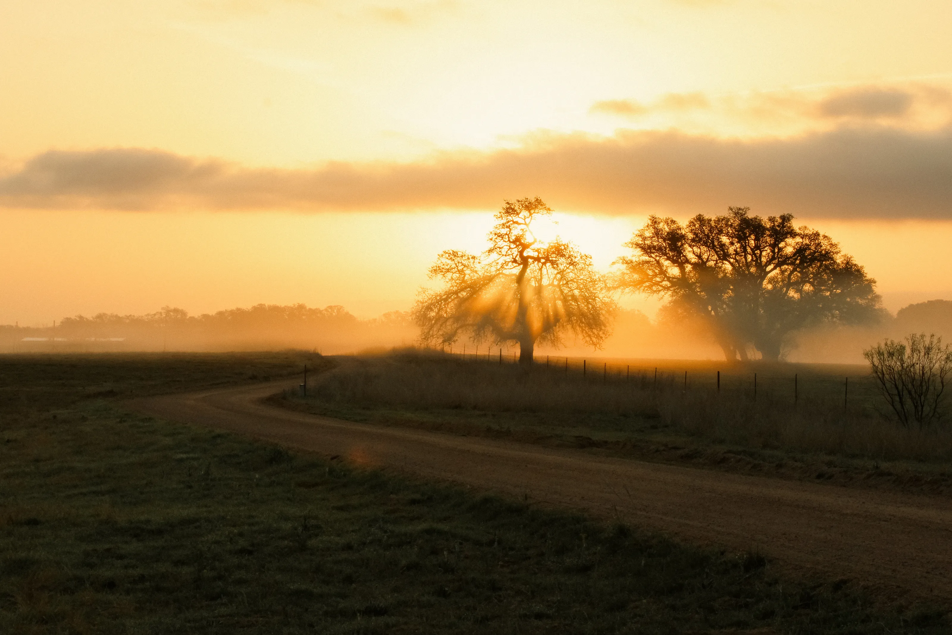 Mason County Morning