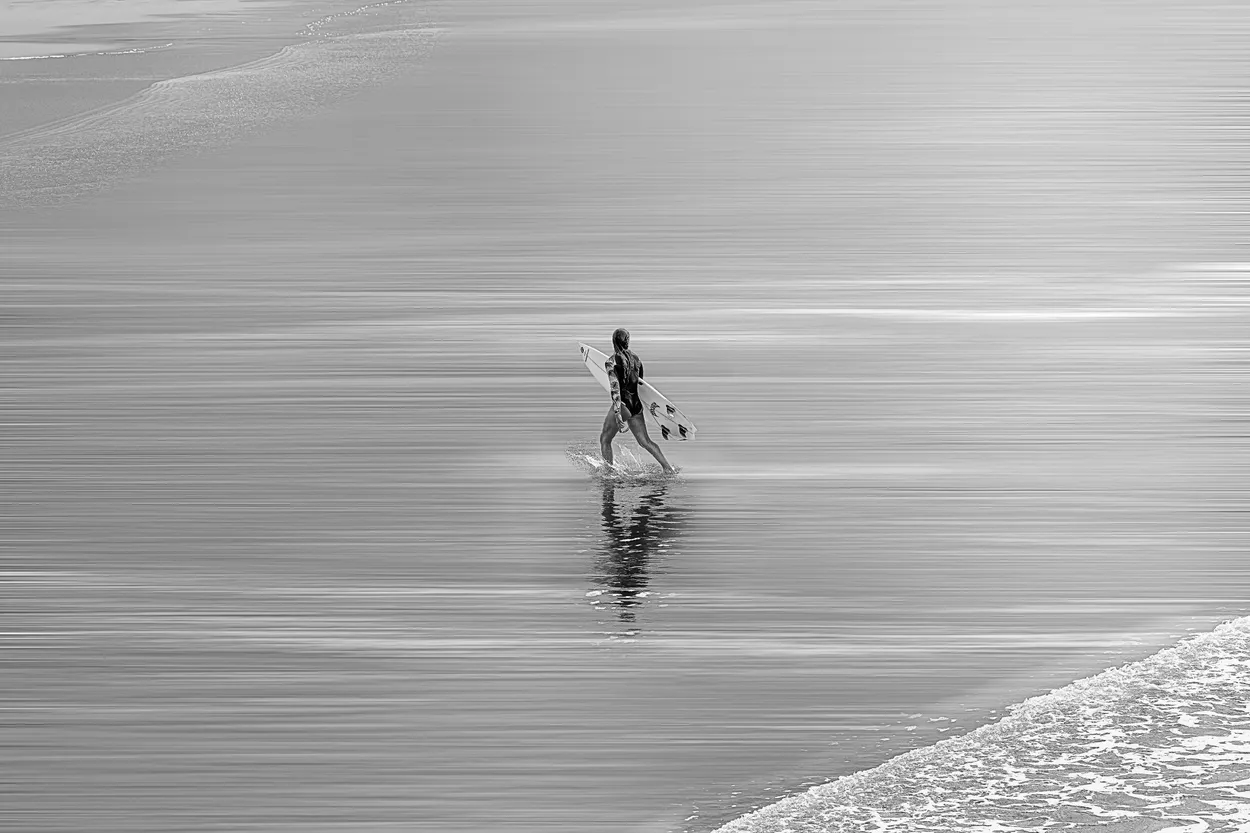 Entry 24596609