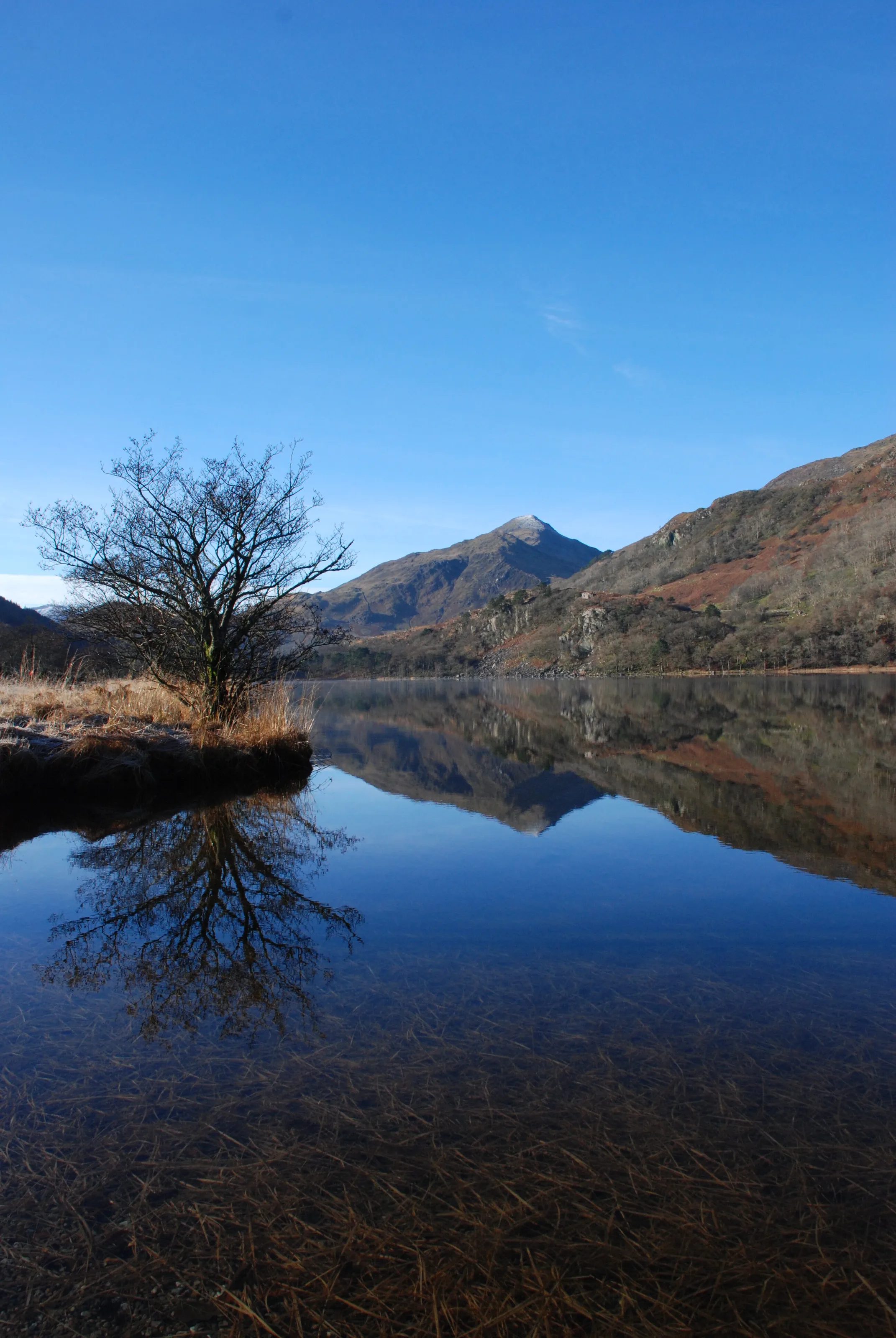 Llyn Gwynant