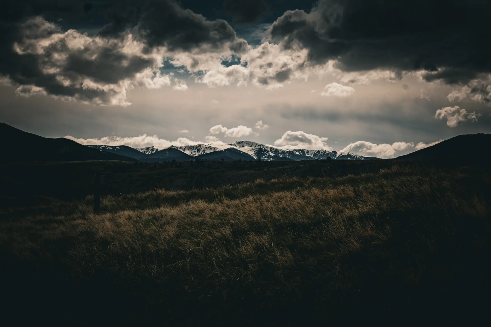 Bridgers Beauty