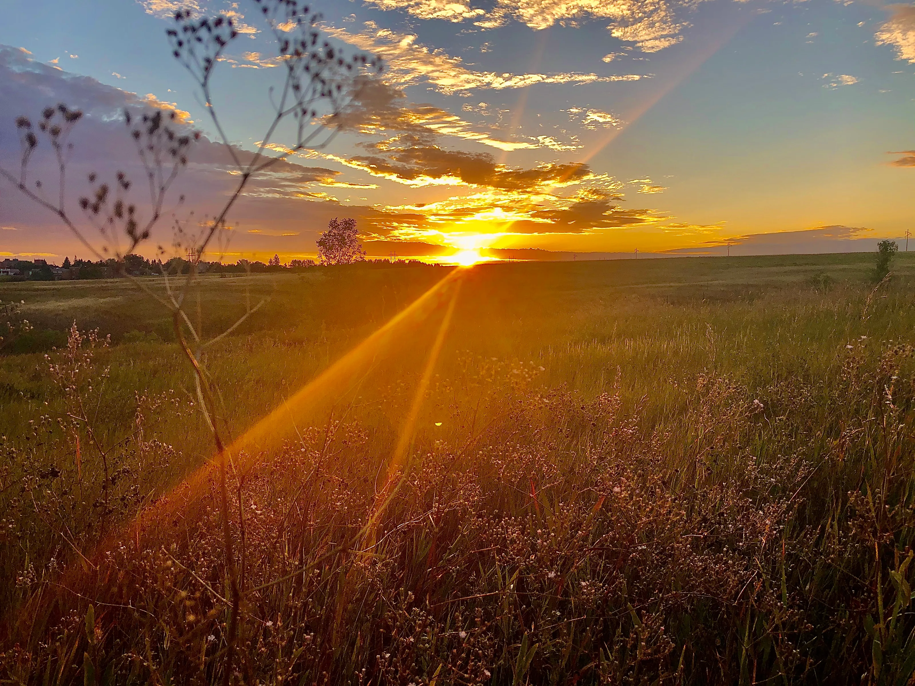 Prairie sun
