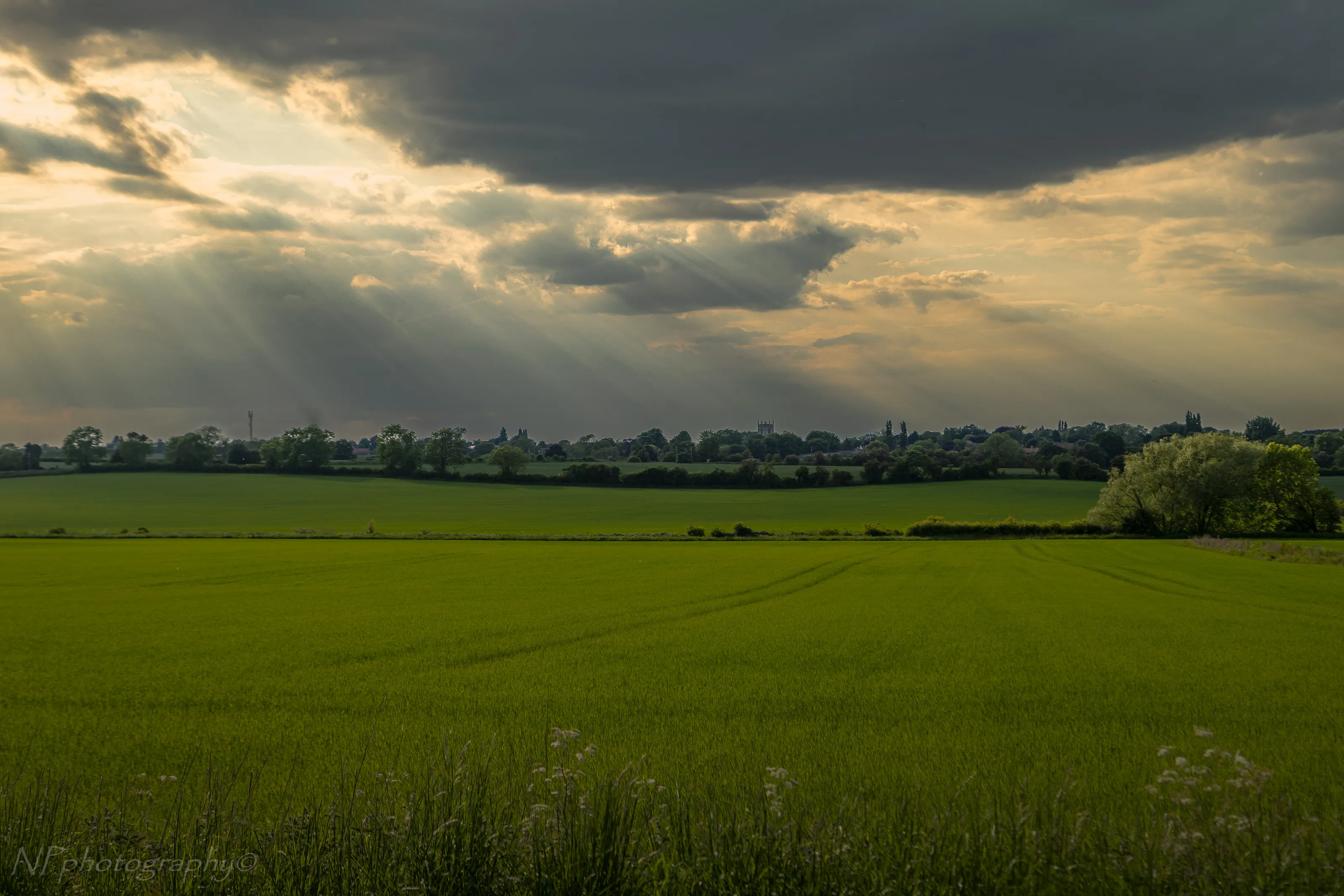 Sun comes after the rain