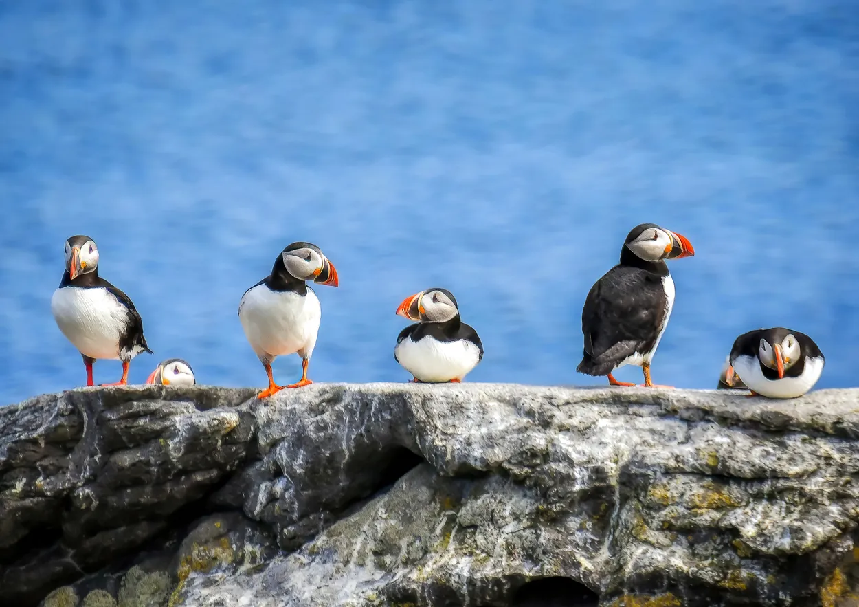 Entry 24638375