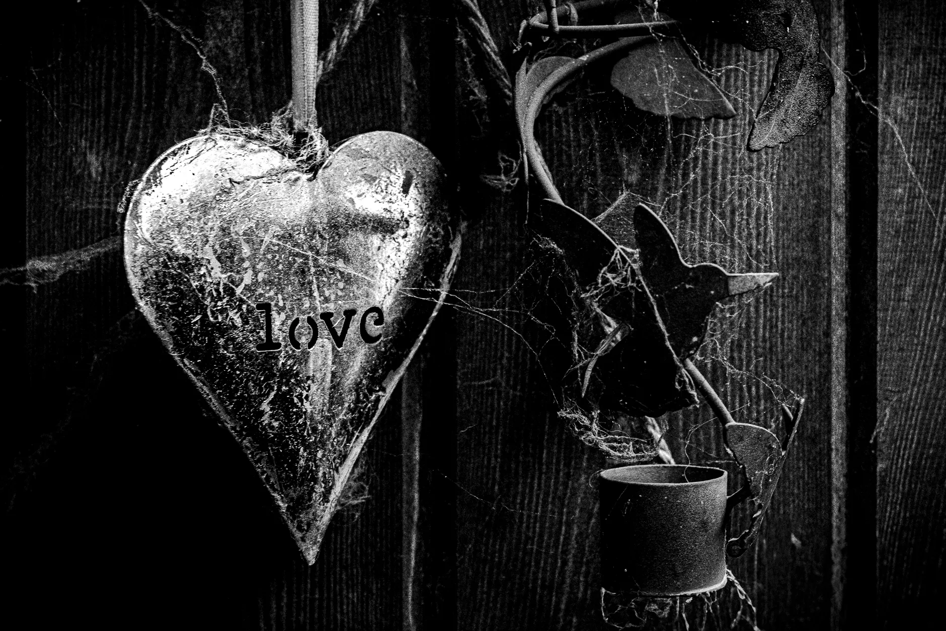 In a World Without You