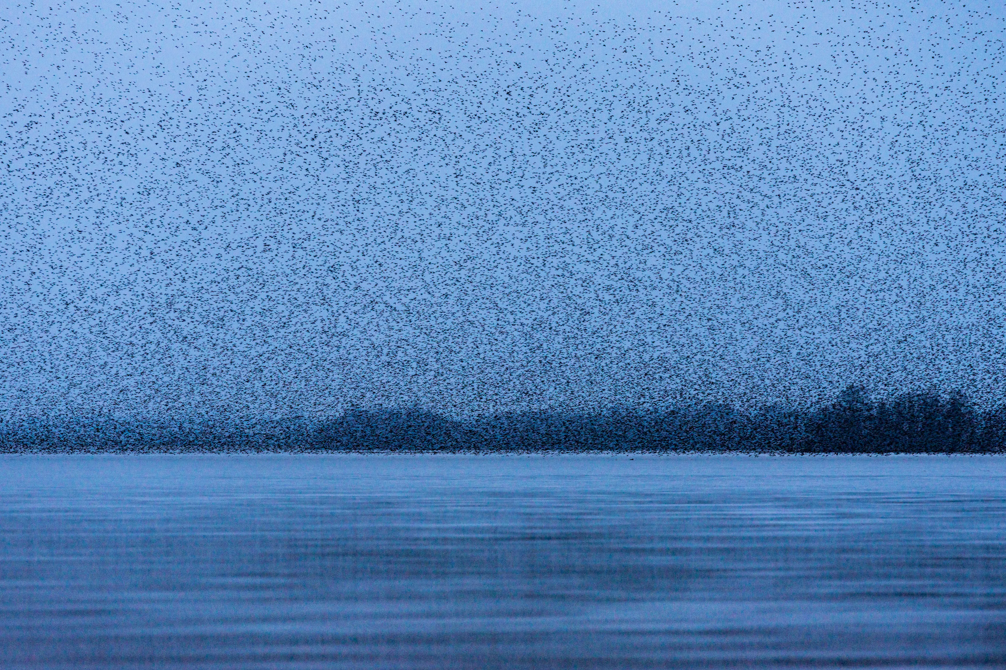 The Flight Between Seasons