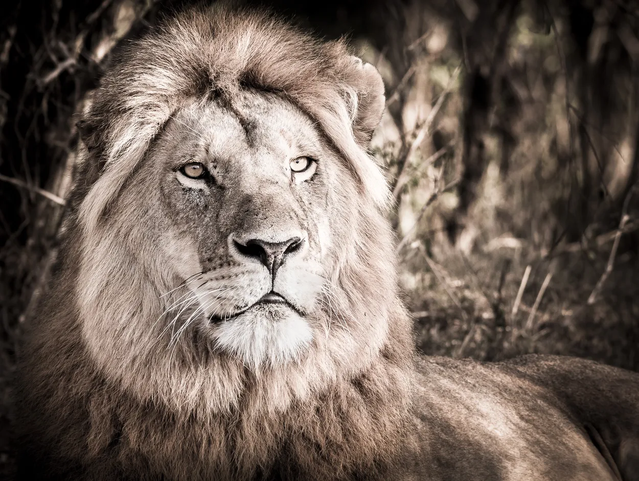 Entry 1349945