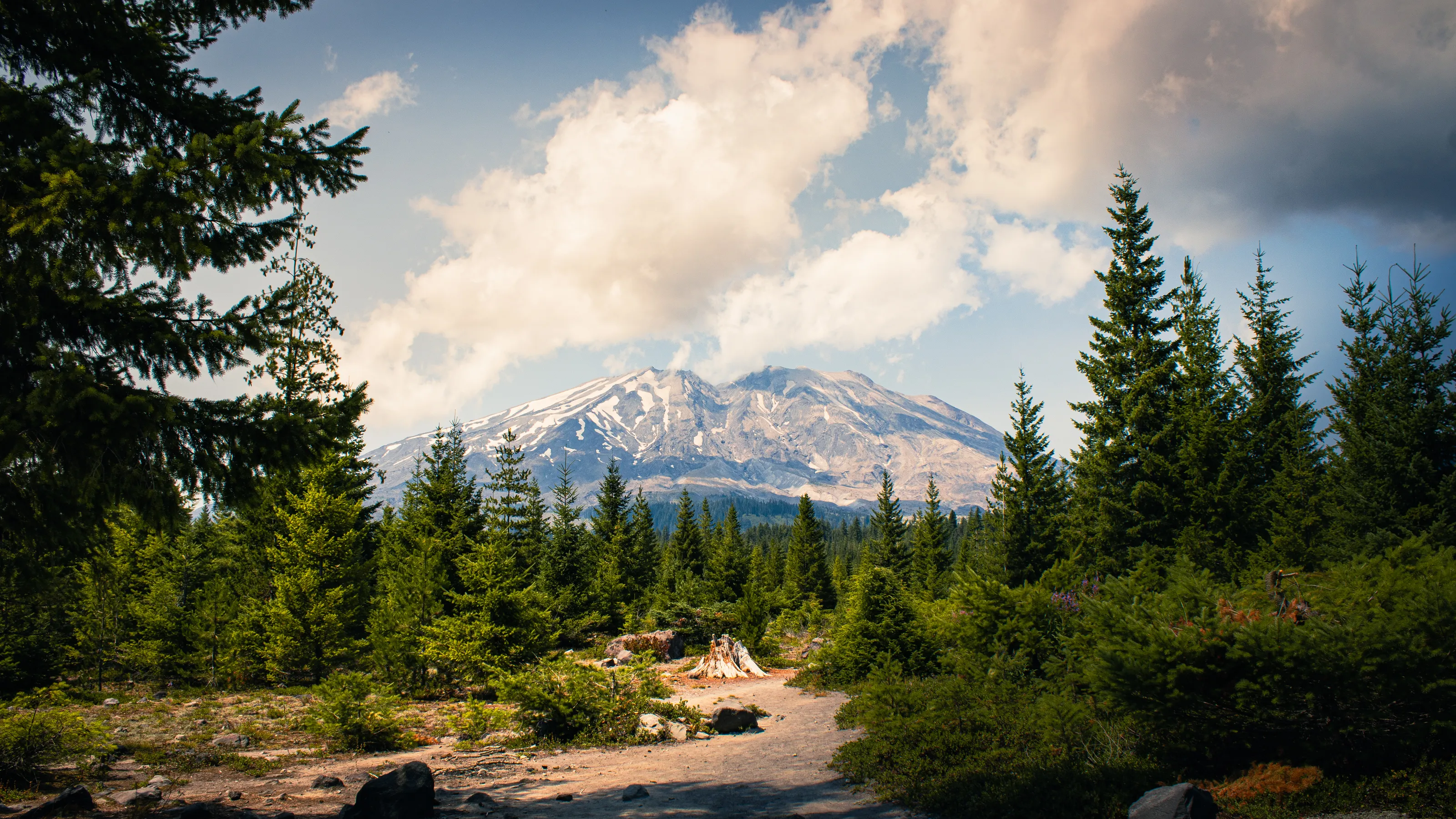 Mt. St. Helens