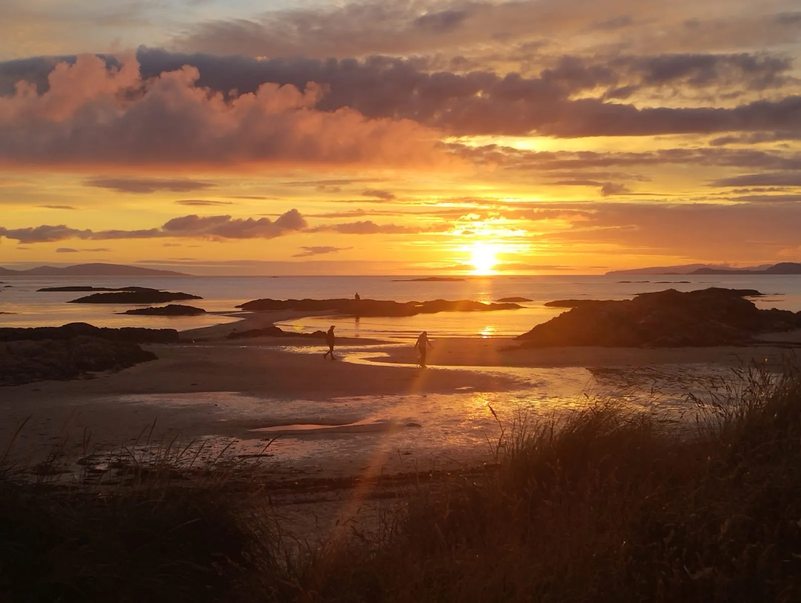 Arisaig 2024