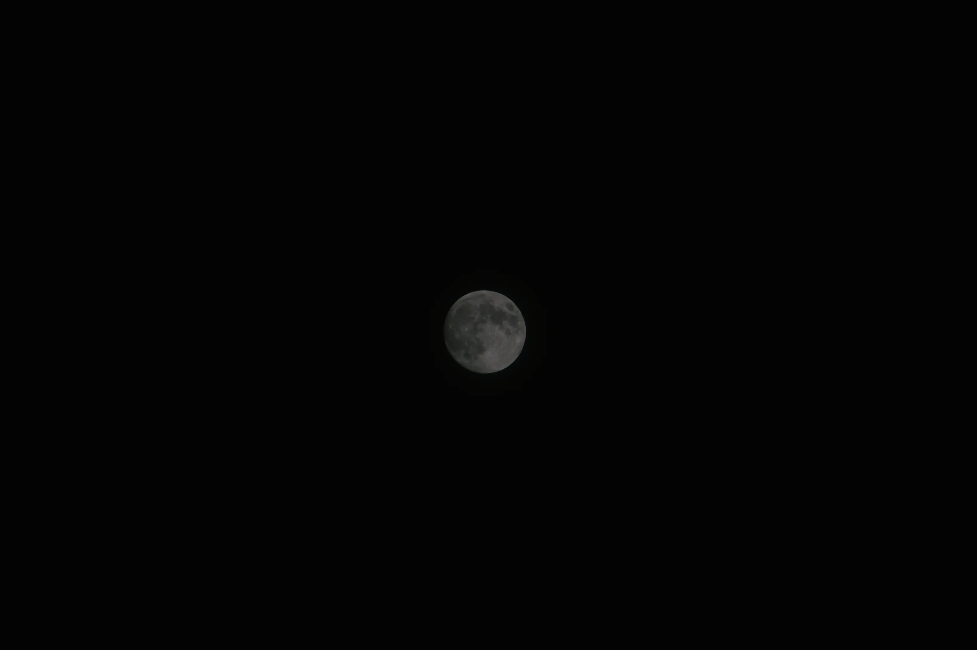 The moon