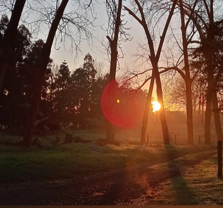 Captivating sunrise