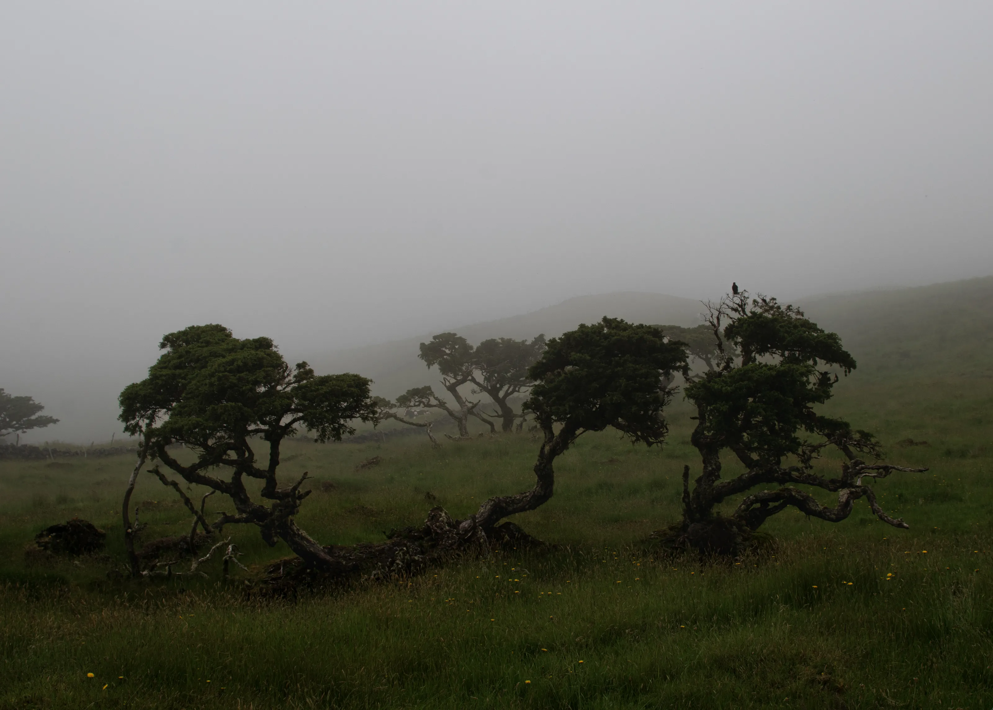 Eery silence