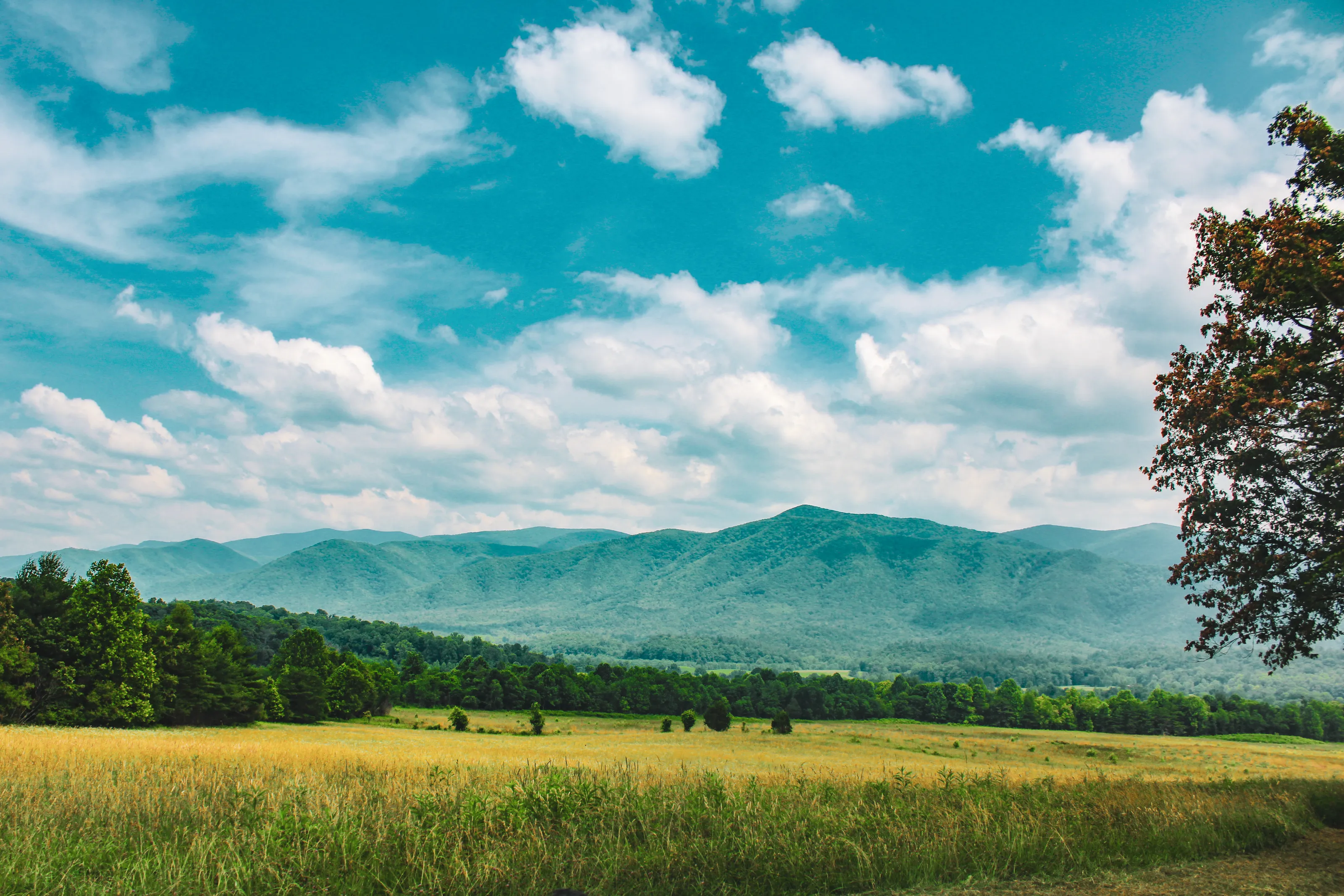 The great smokies