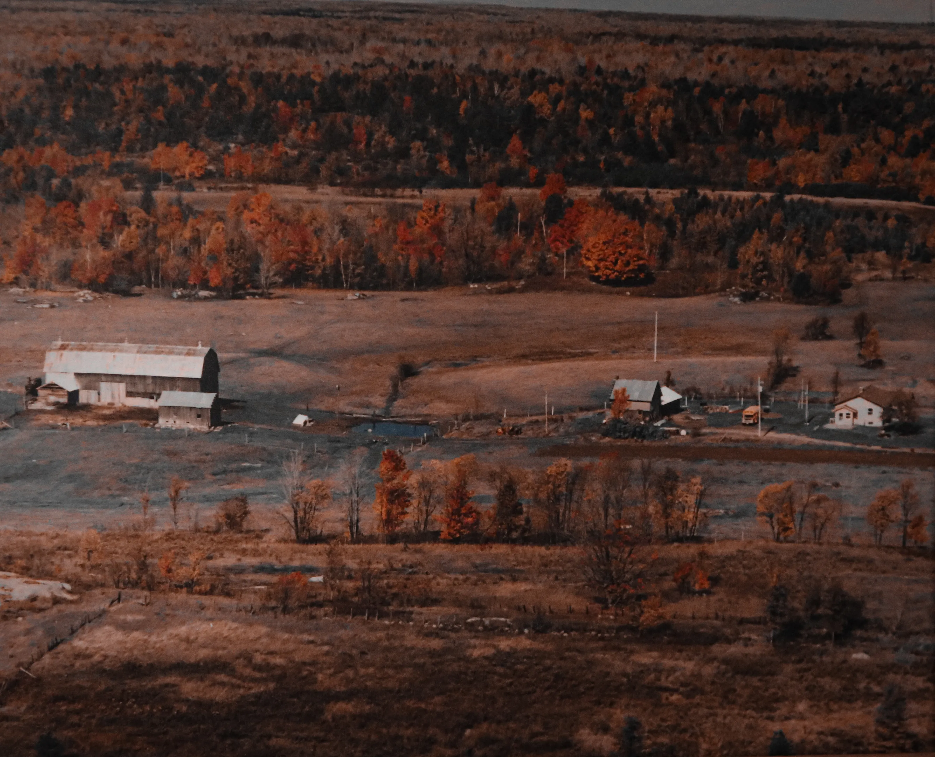 Farm
