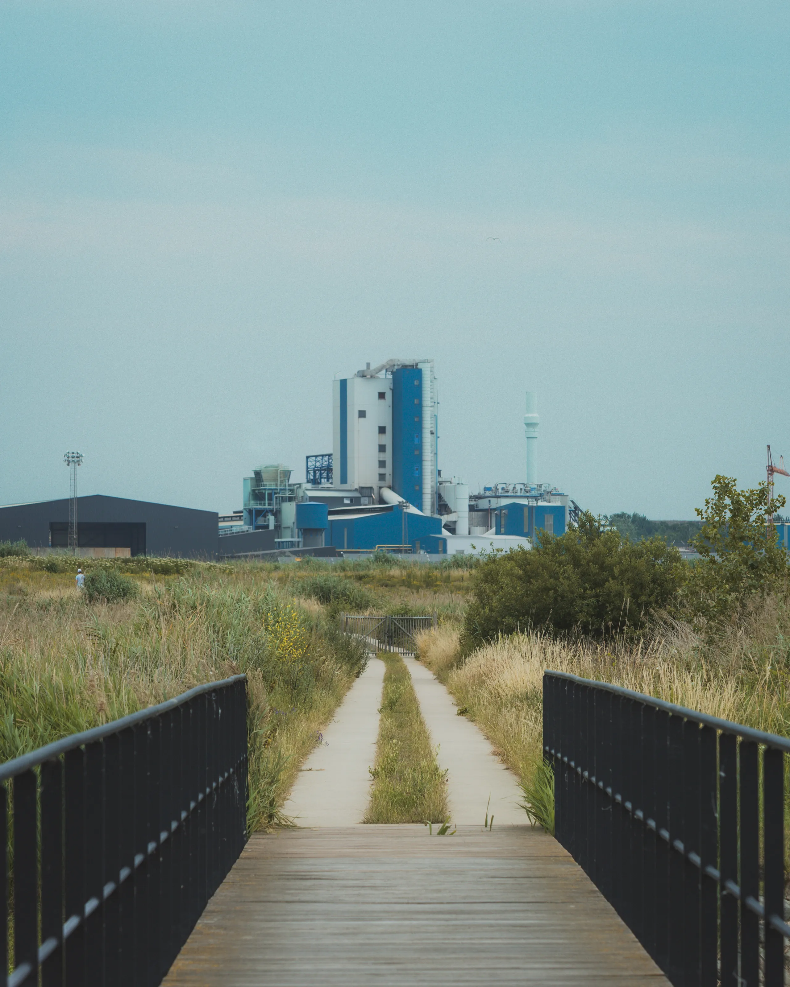 Path to Industry