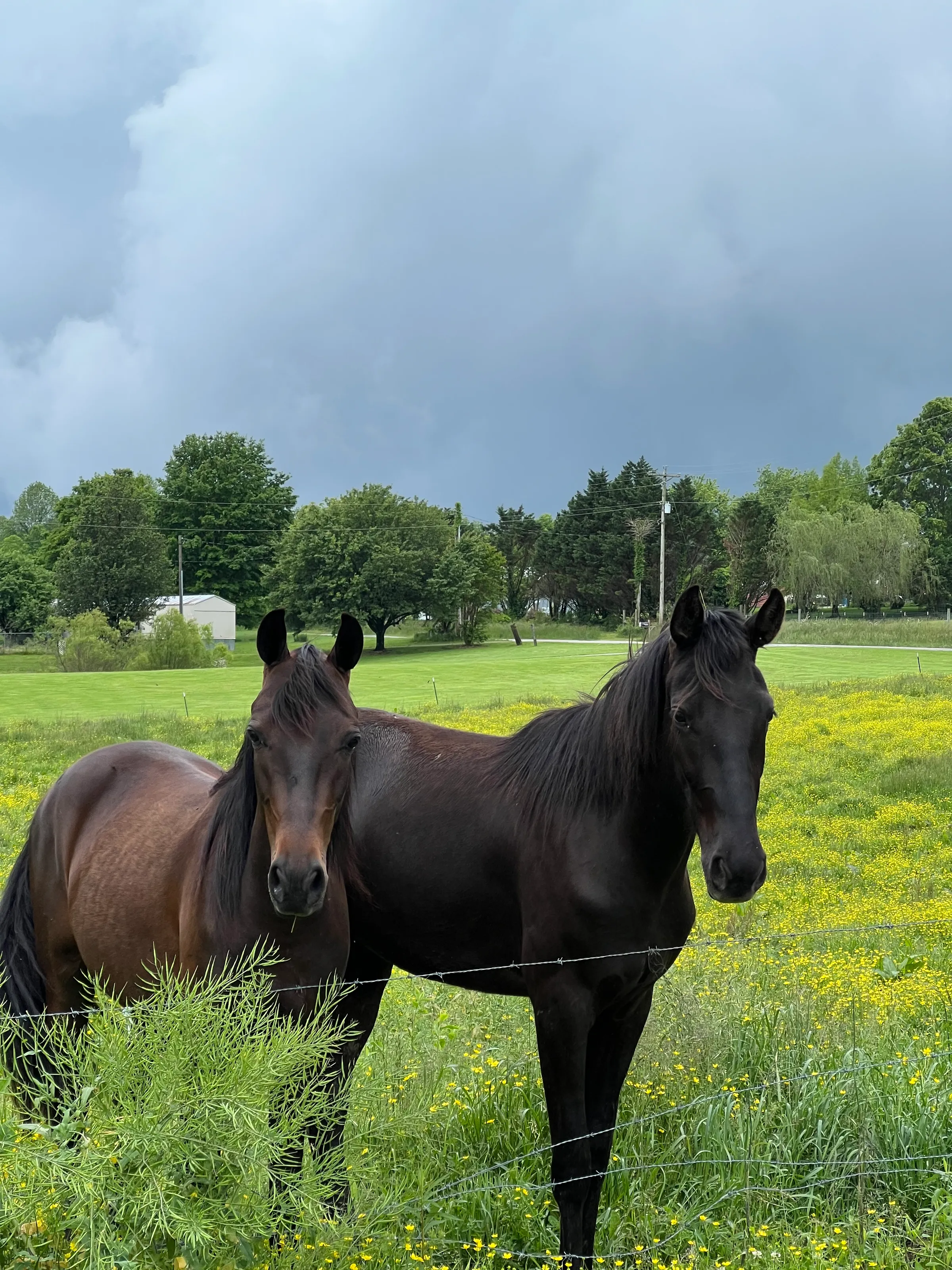 Rain is coming!