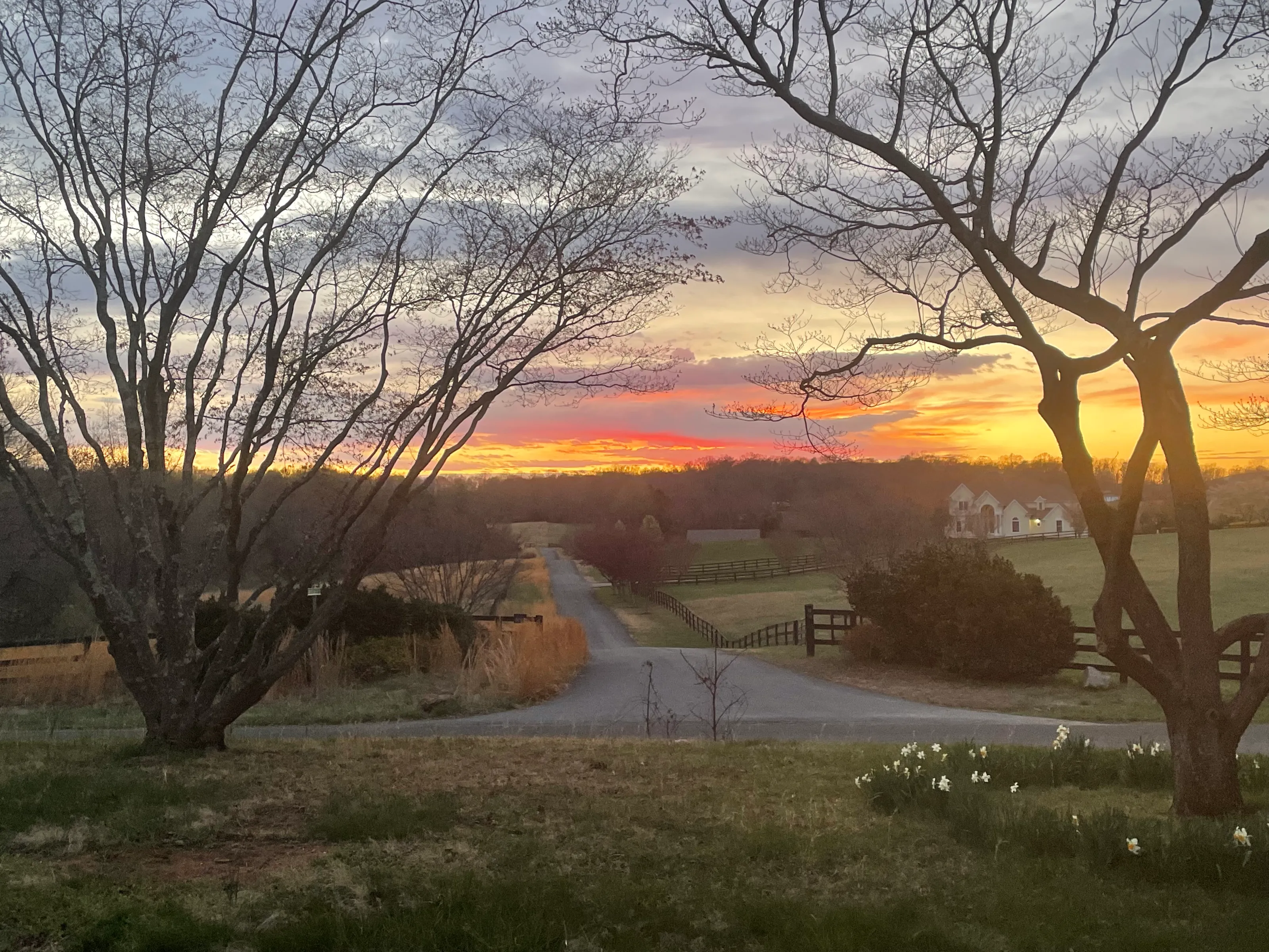 Twilight in the Foothills