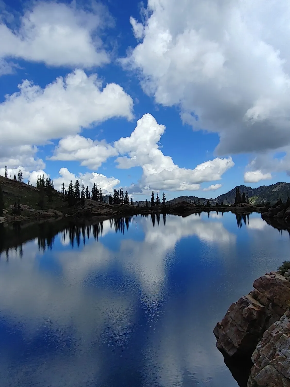 Pure Reflection