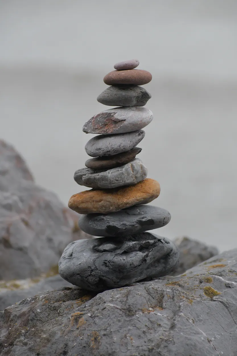 Entry 24716235