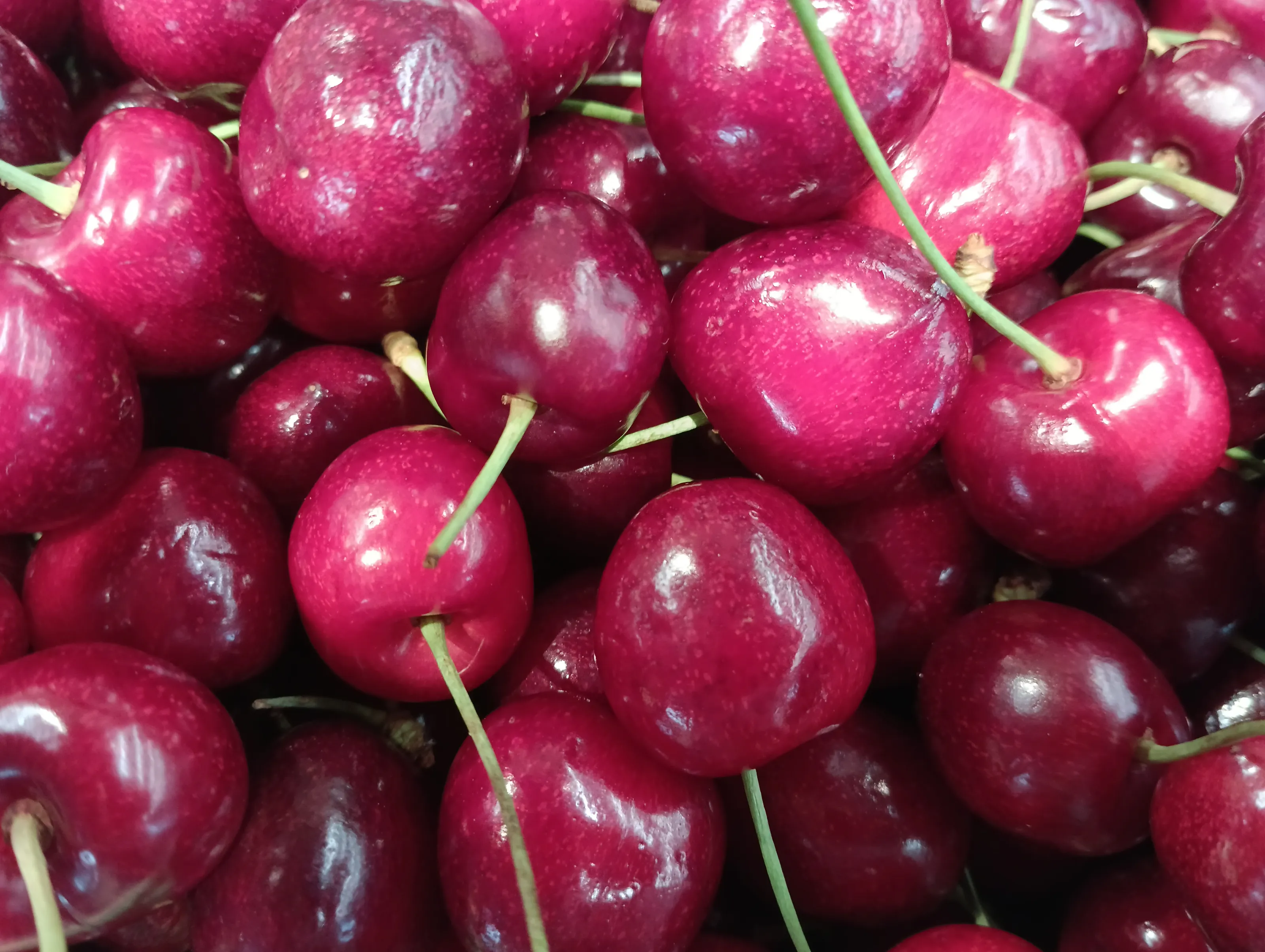 Cherry