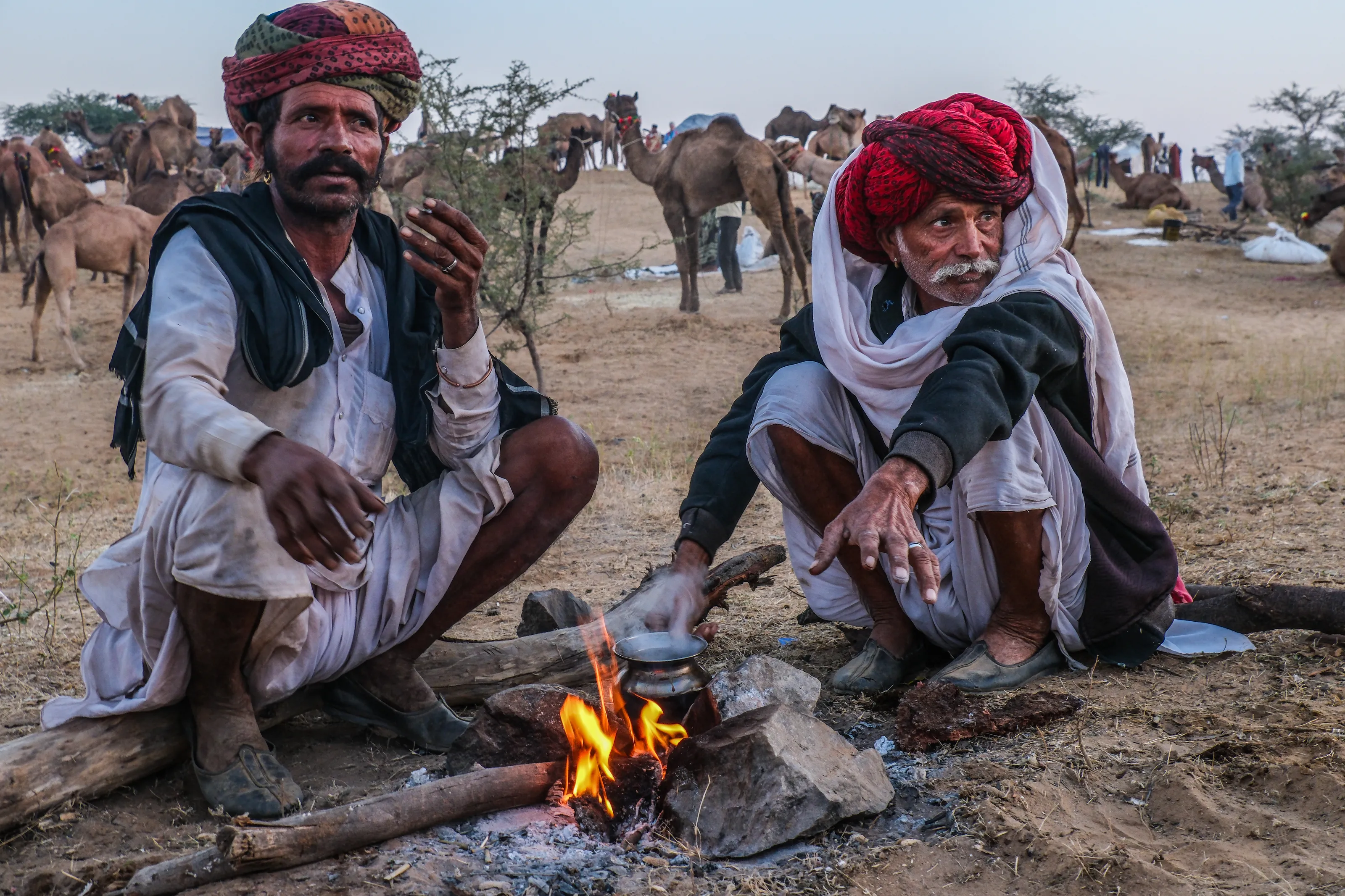 Pushkar Camel Fair