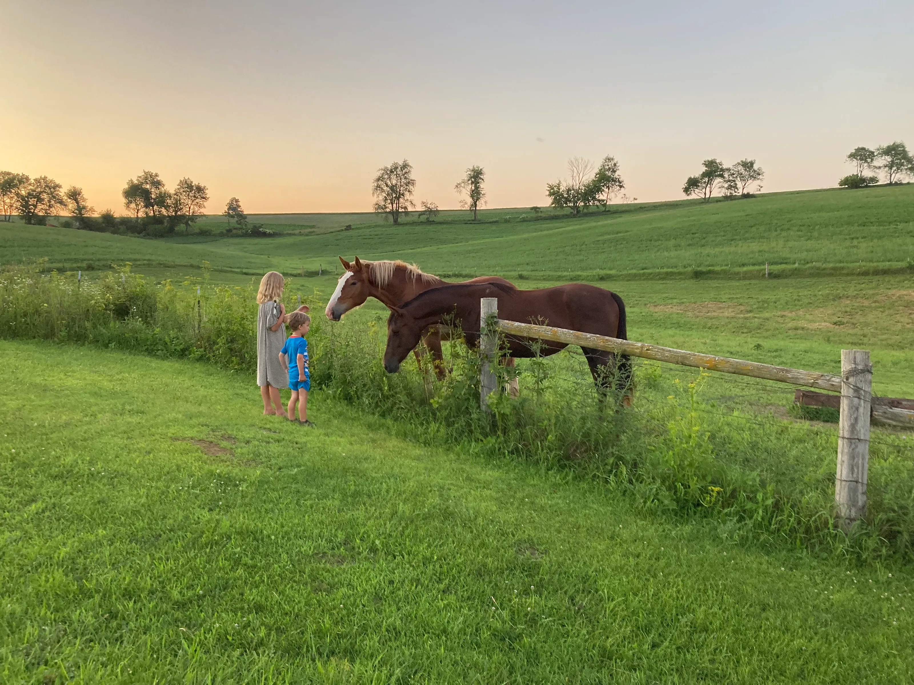 They love horses, don't they?