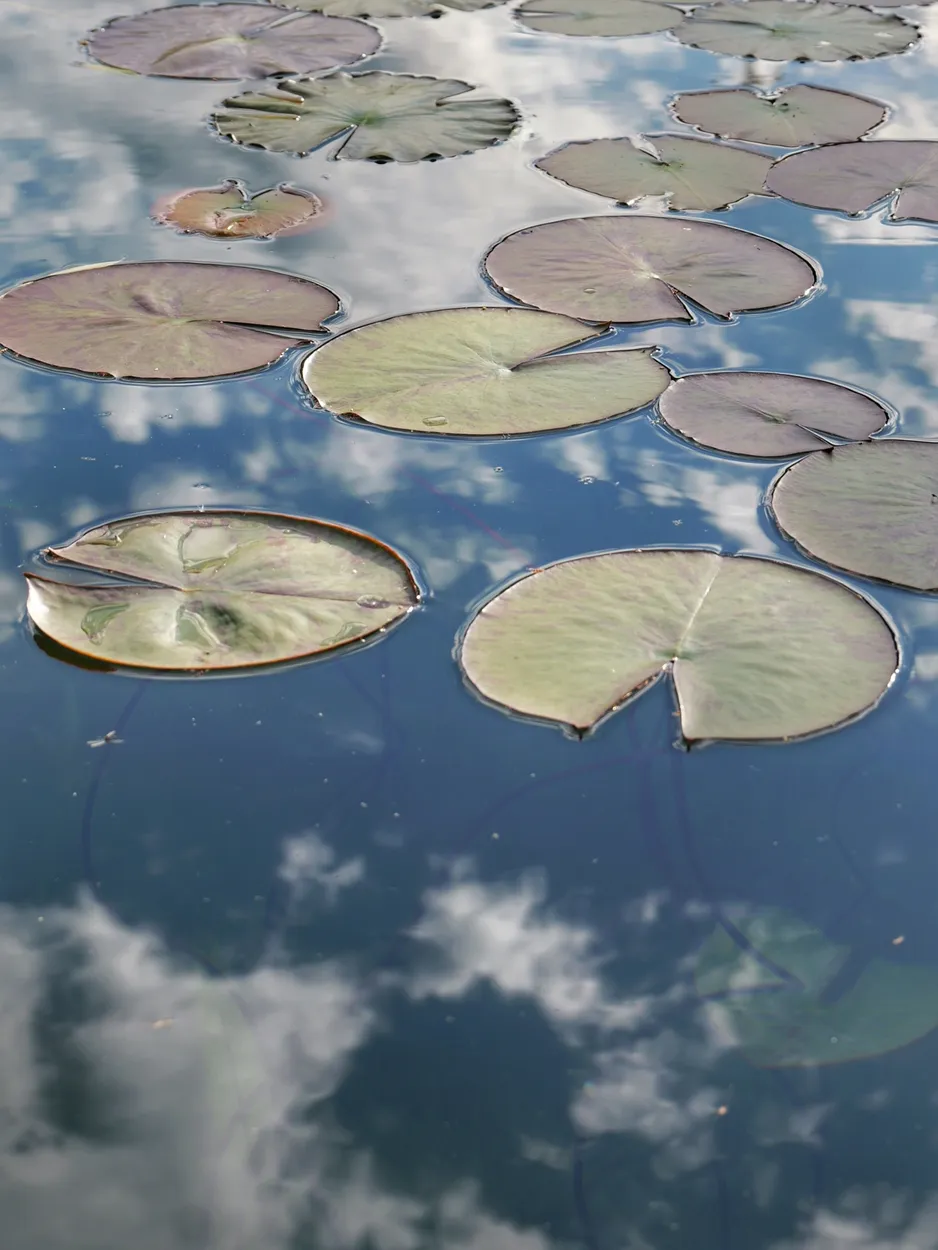 Swimming on clouds