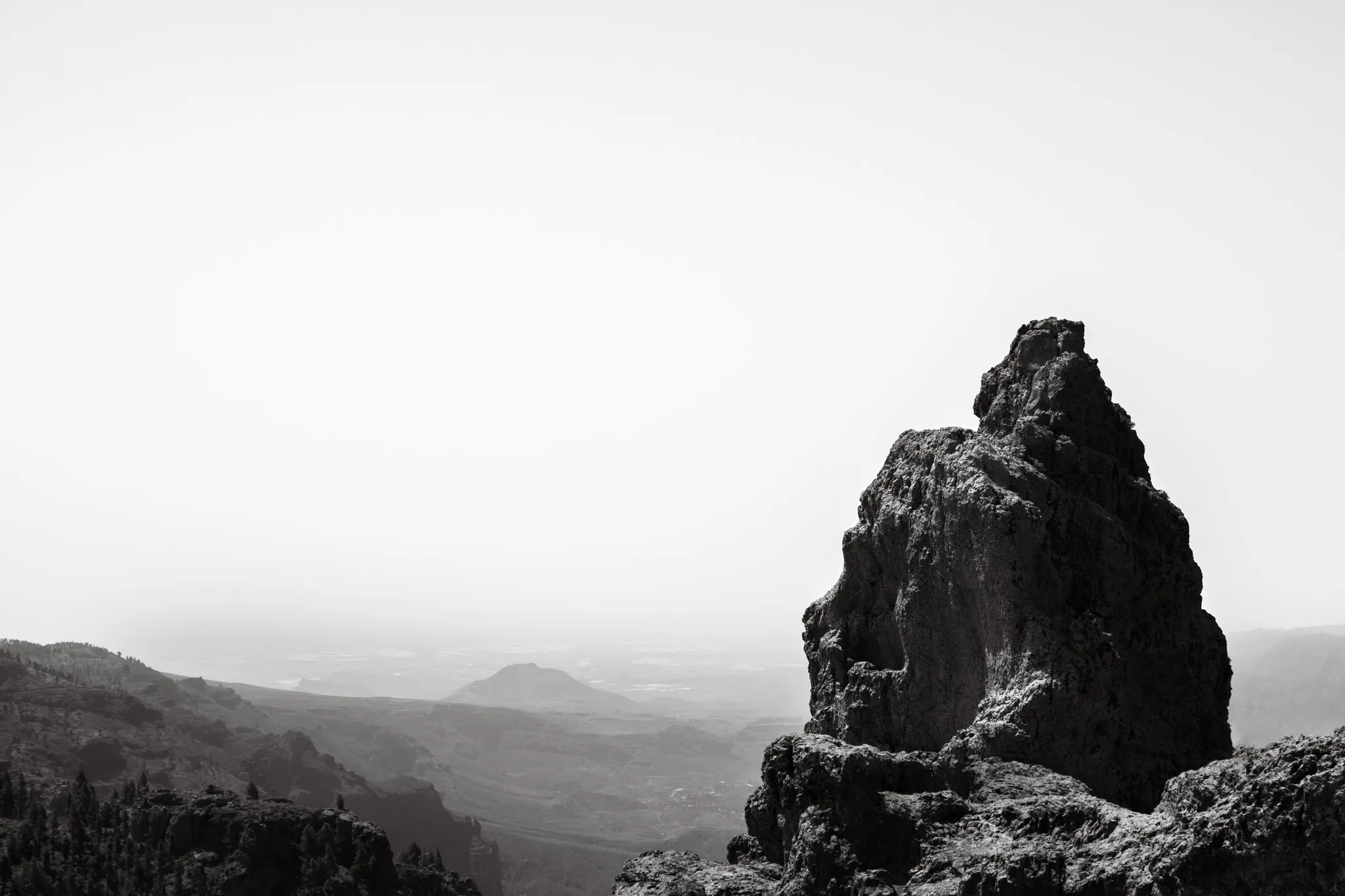 Silent Sentinel